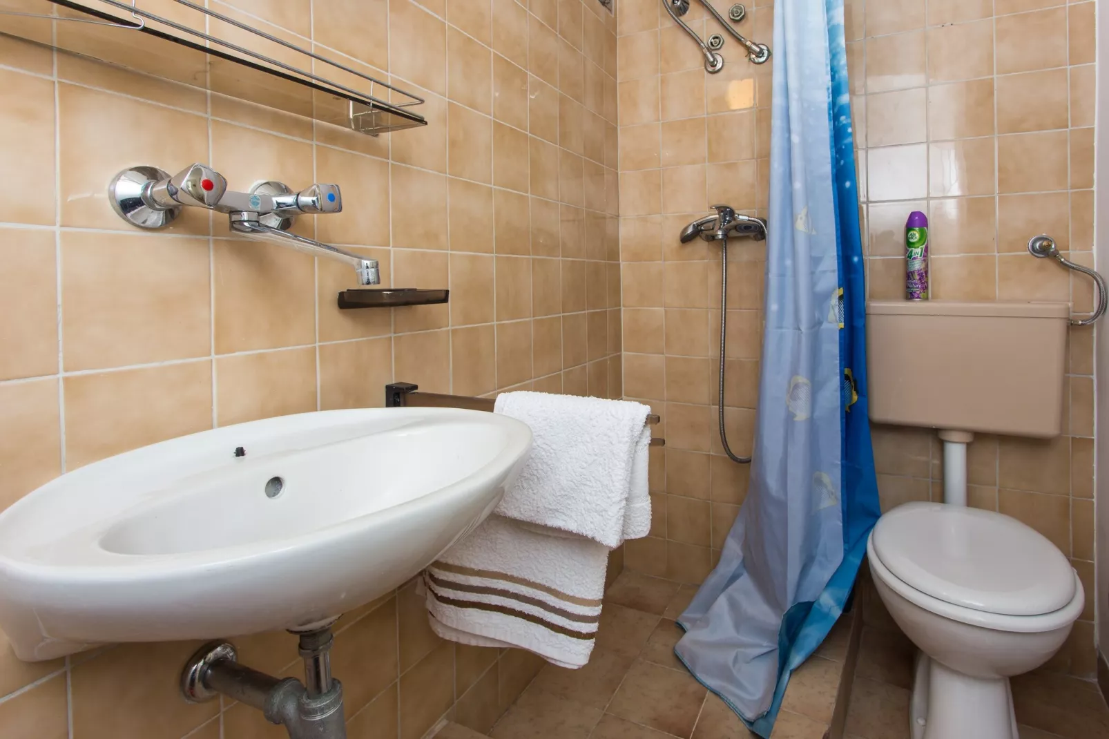 Apartments Ljubimir - Comfort One-Bedroom Apartment with Shared Terrace - Nono-Bathroom