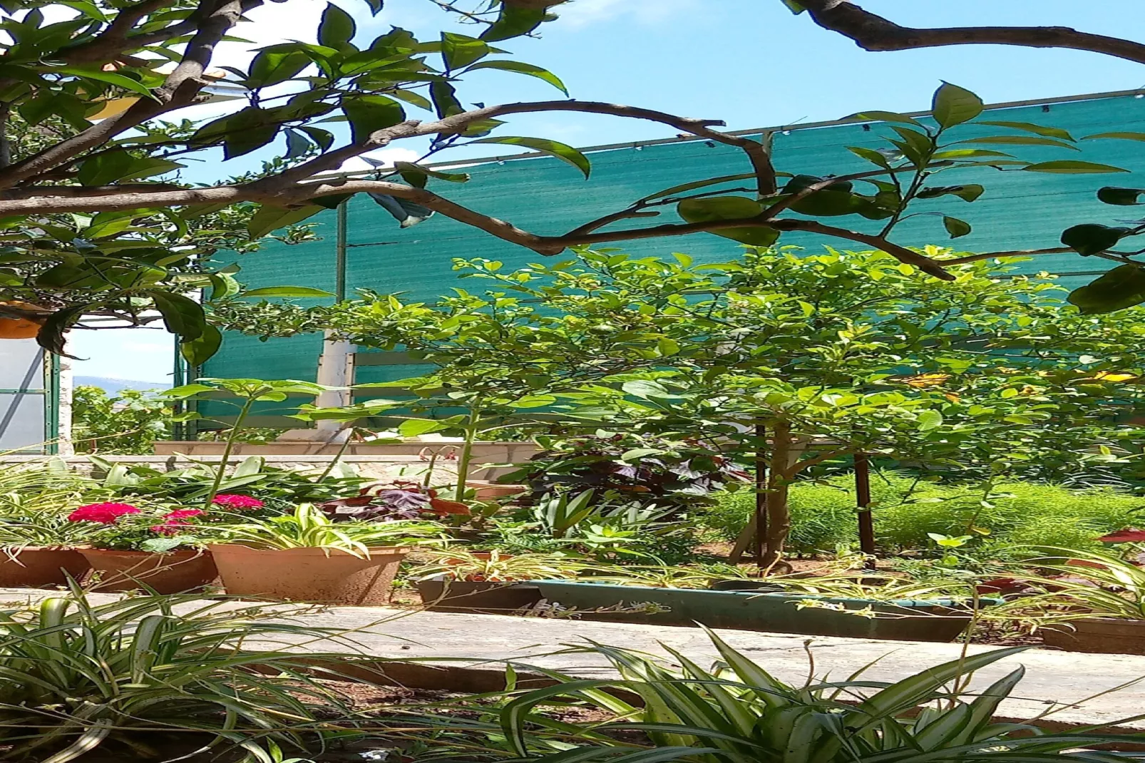 Holiday Home Kata - Two-Bedroom Holiday Home with Balcony-Gardens in summer