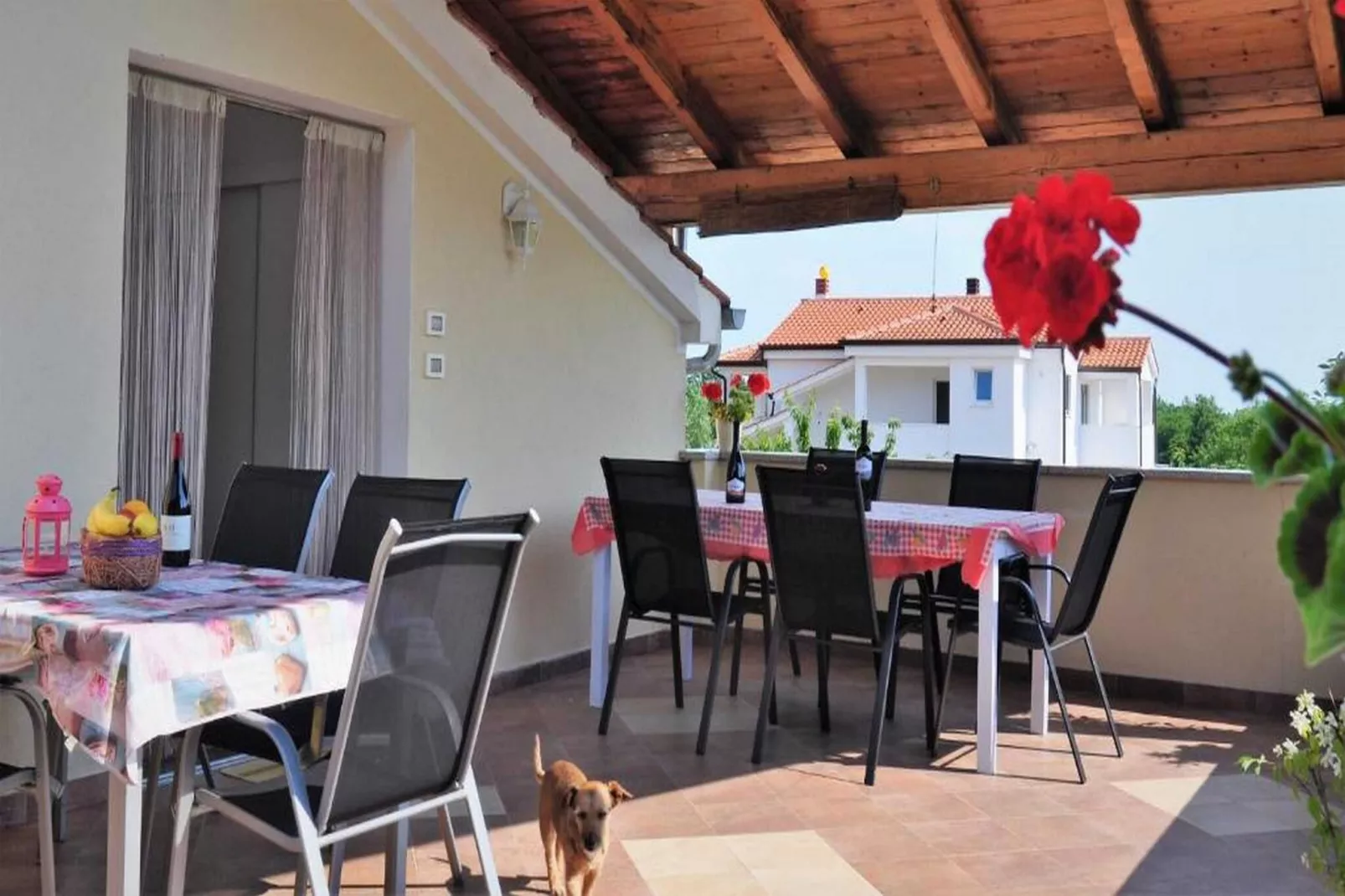 Apartments Belicka - Two Bedroom Apartment with shared  Terrace - A2-Terrace