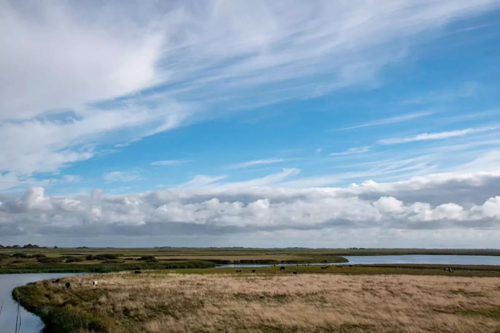 6 Personen Ferienhaus in Højer-Wasserblick