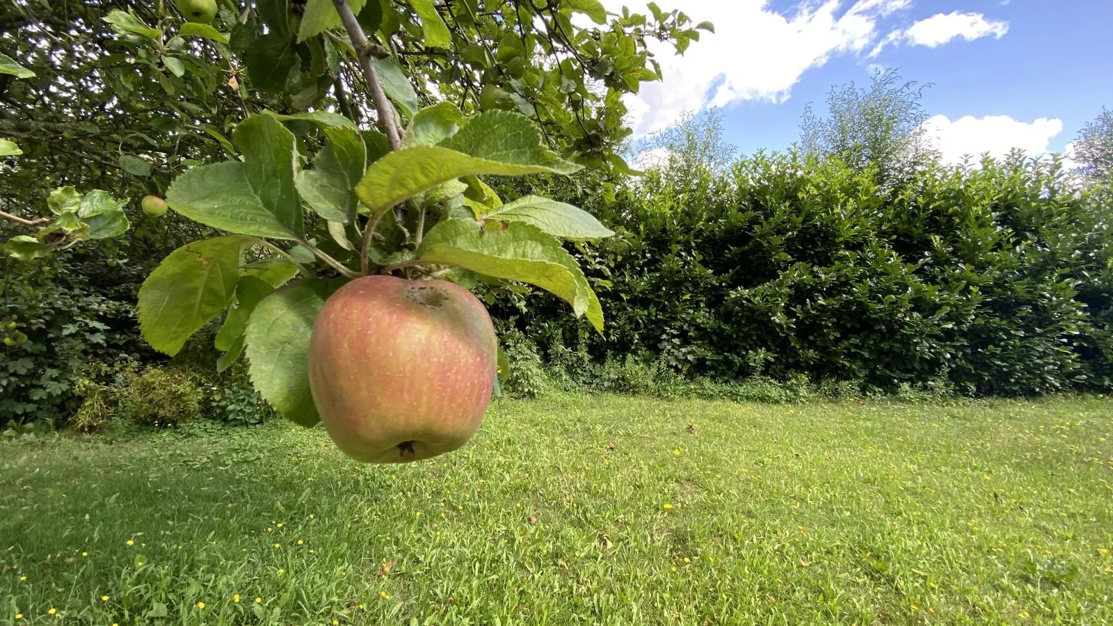 De Meerenhof - Ambiente