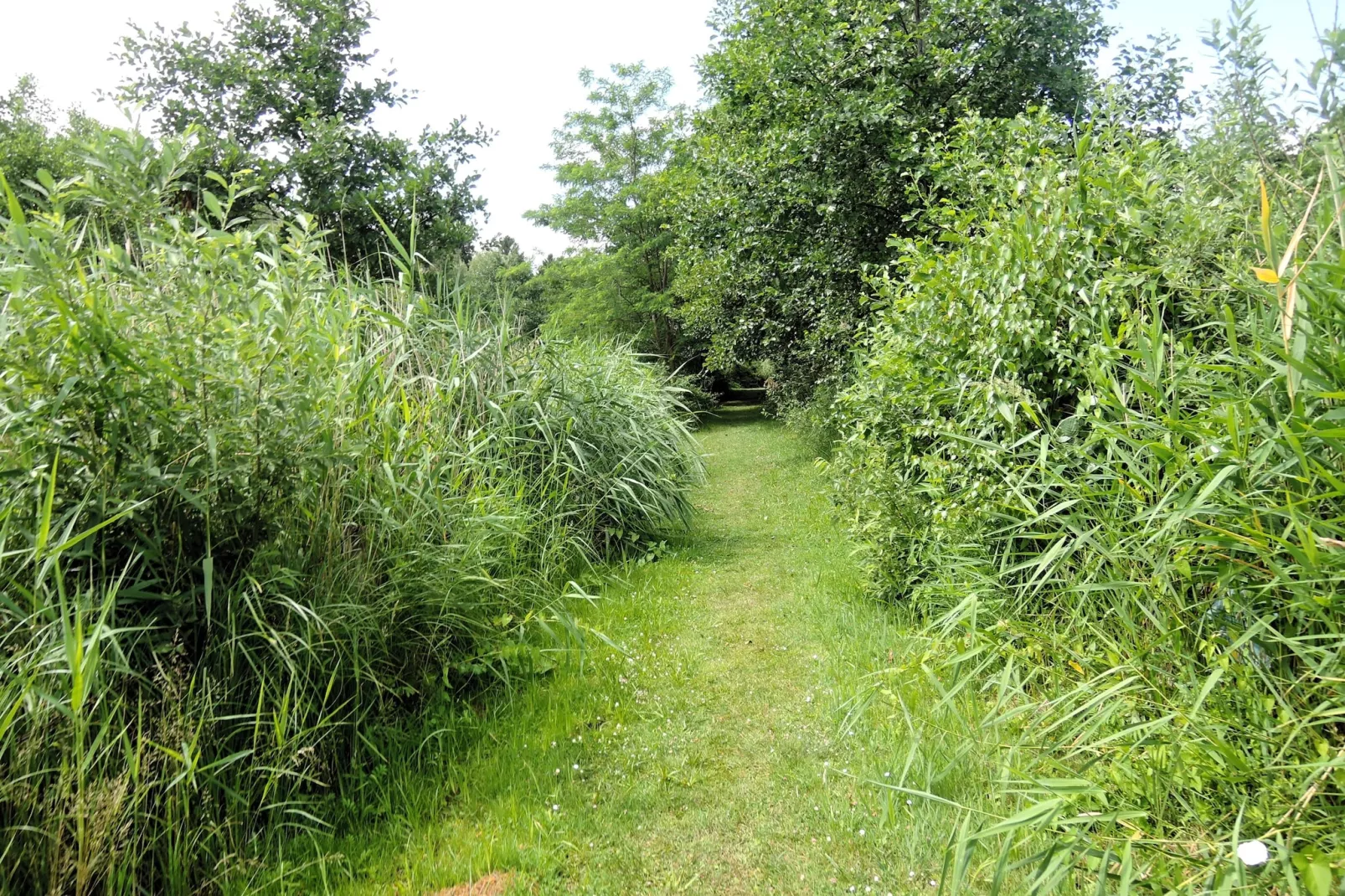 Pod świerkami pokój nr 2 dla 1 osoby-Garten Sommer
