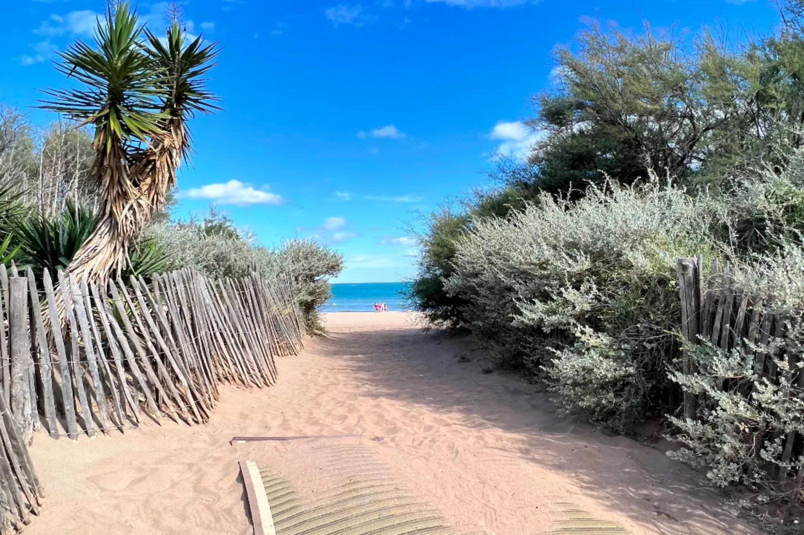 105 LIGNON-Areas within 5km in summer
