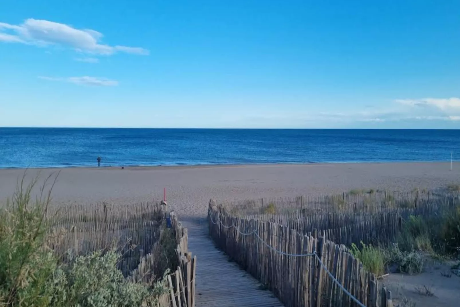LOU 202 BARRAL-Areas within 5km in summer