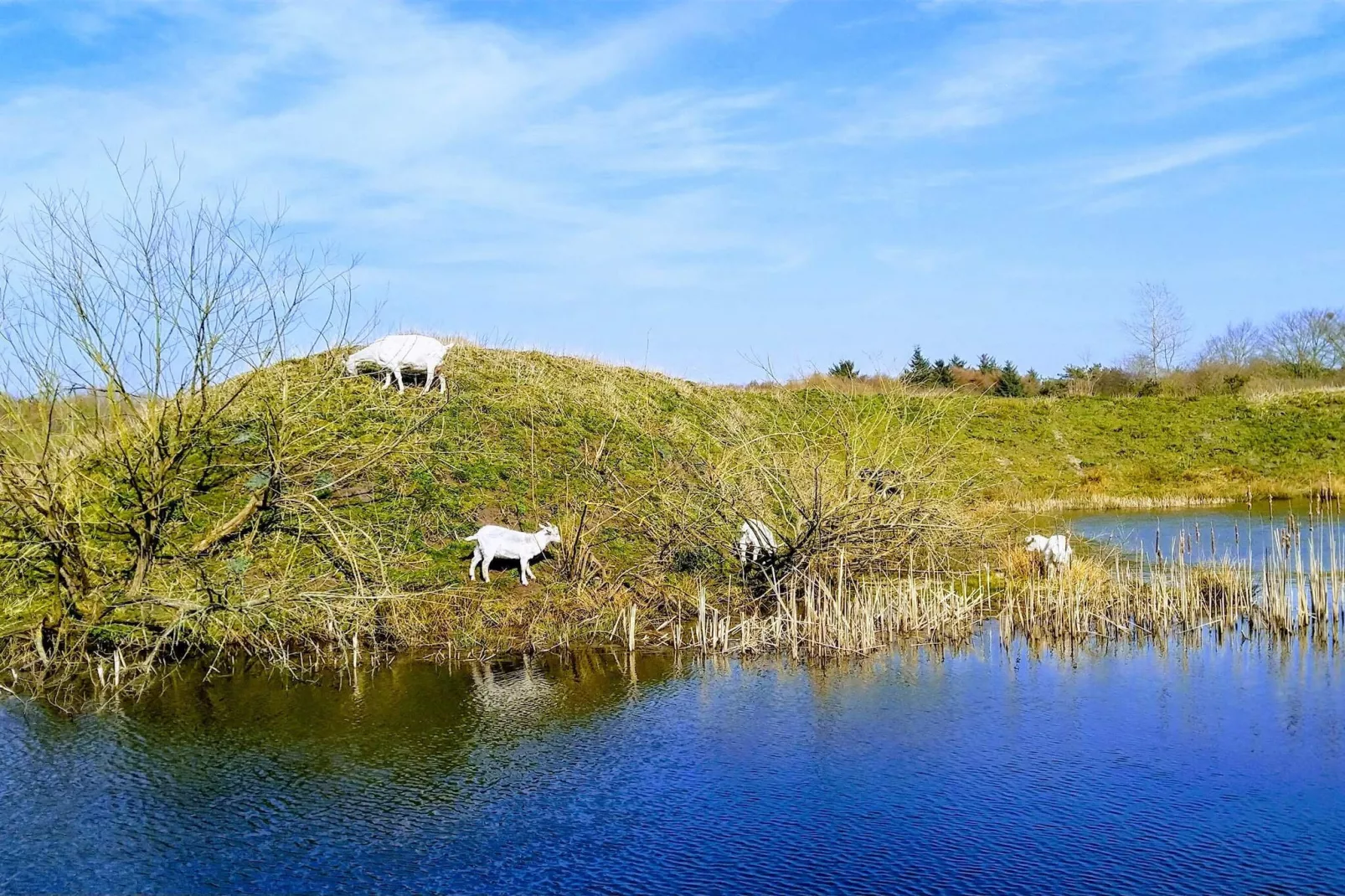 Maison de vacances pour 6 a Ringkøbing-Vue sur l'eau