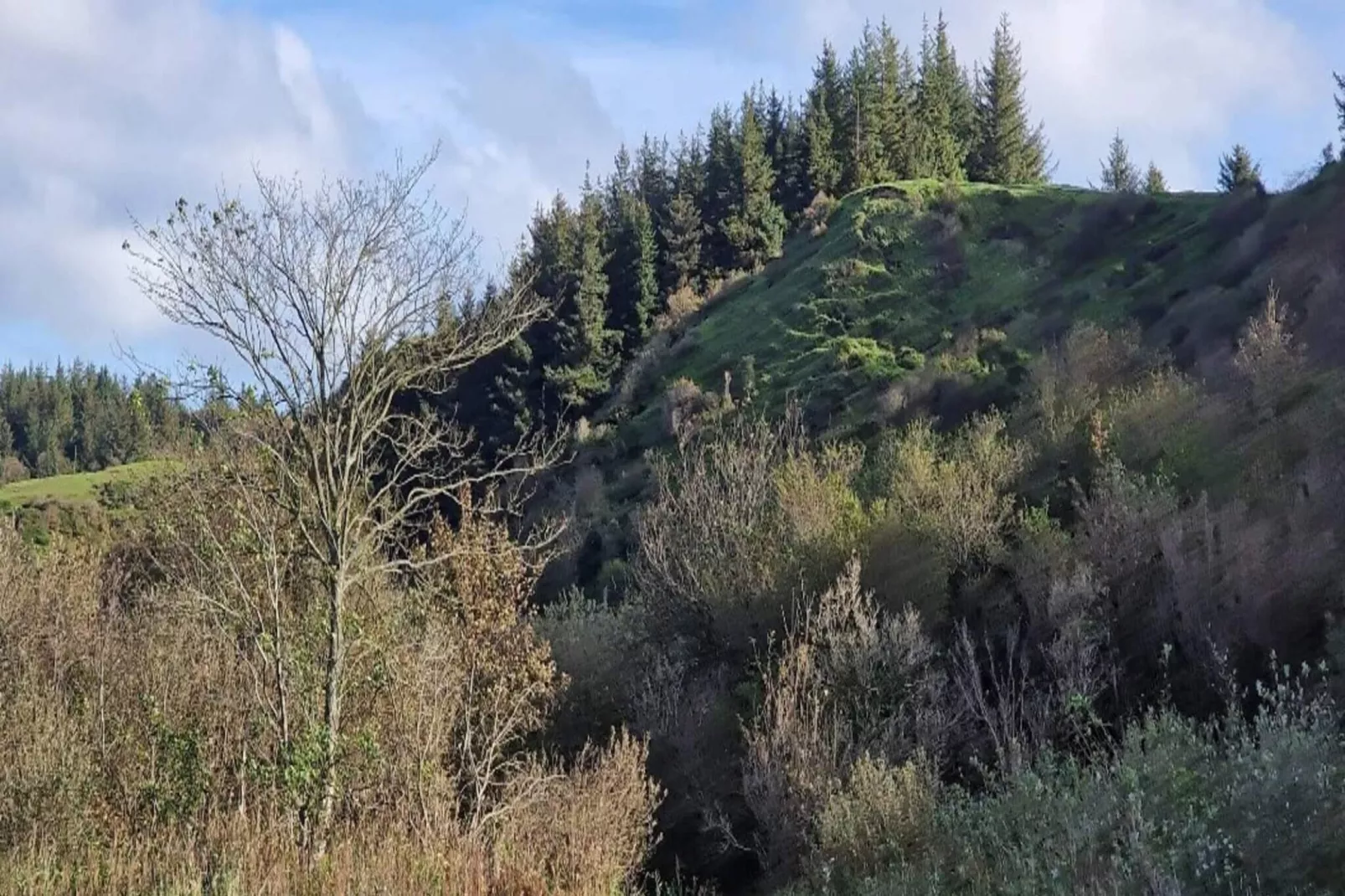 Maison de vacances pour 6 a Brovst-Extérieur