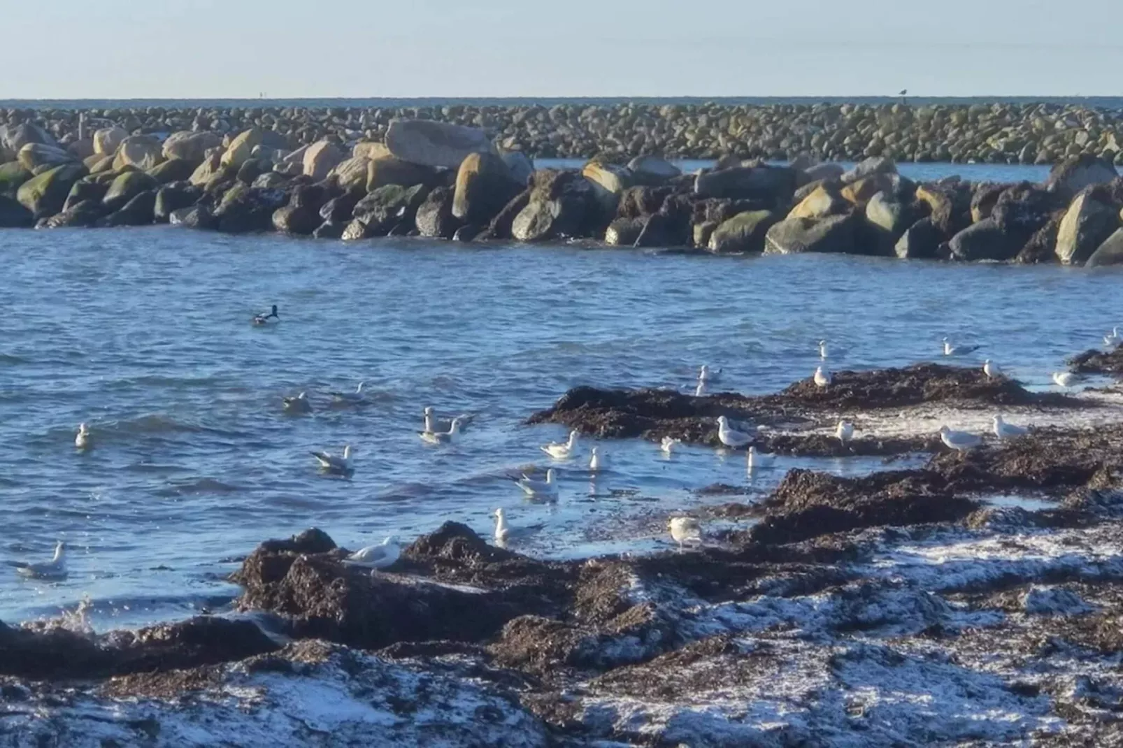 Serenite en bord de mer a Hummingen-By Traum-Vue sur l'eau