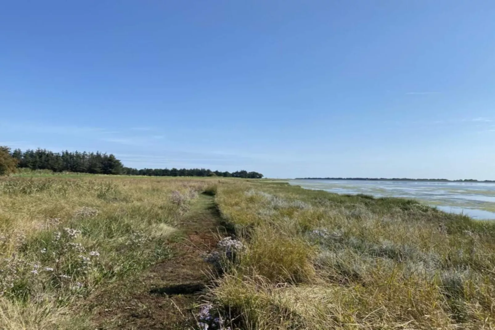 Serenite en bord de mer a Als Odde-By Traum-Non tagué