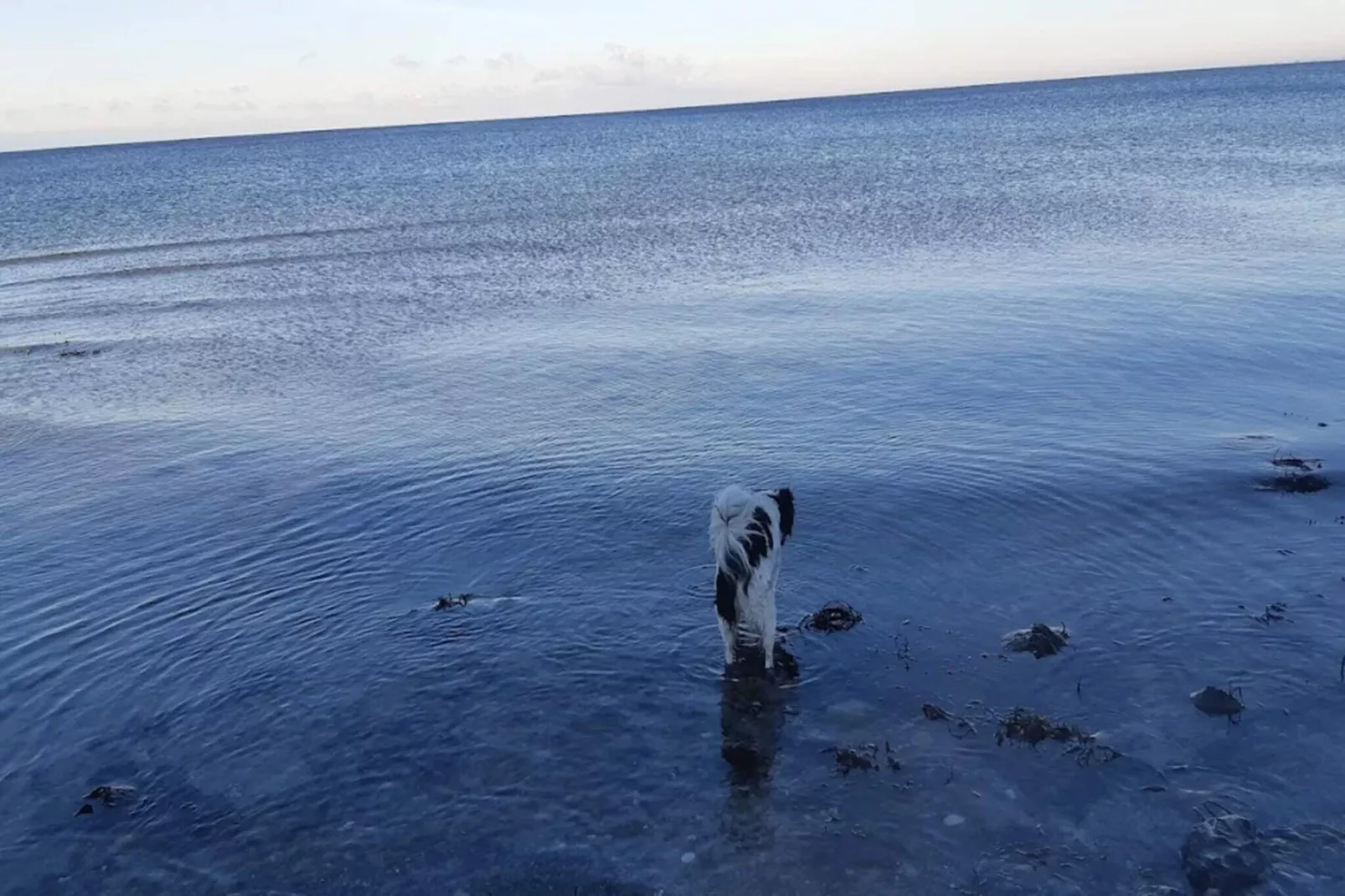 Maison de vacances pour 6 a Korsør-Vue sur l'eau