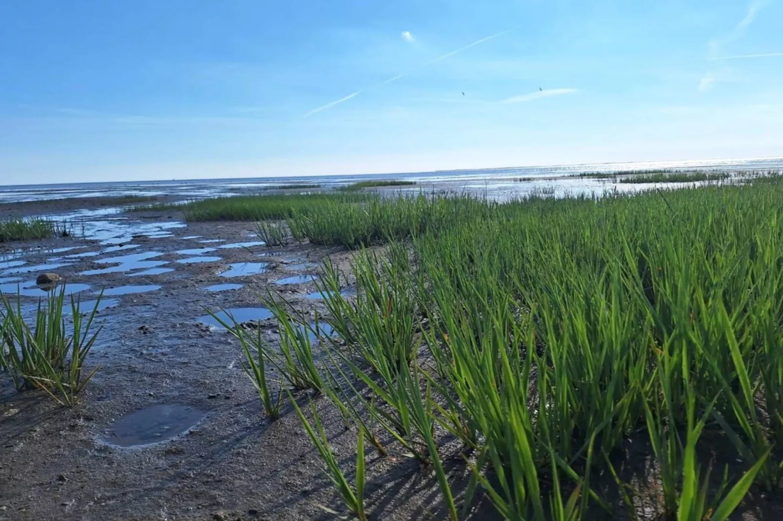 6 person holiday home in Esbjerg V-Water view