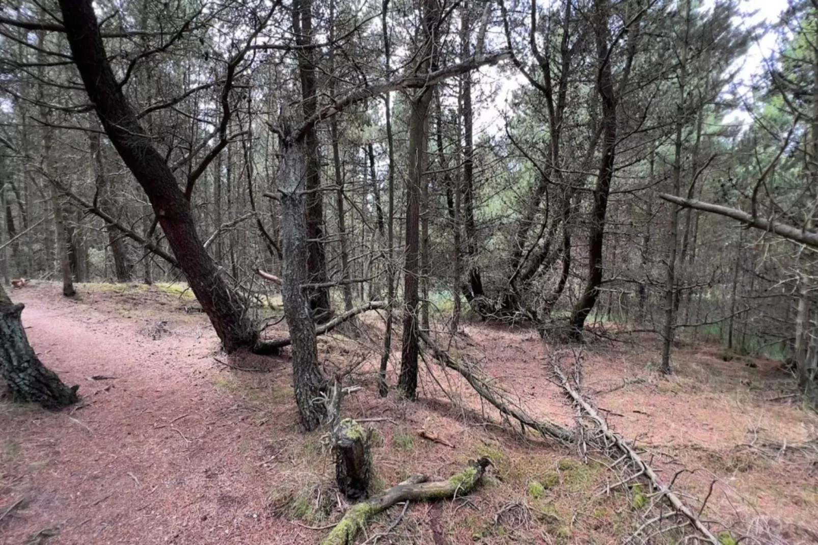 6 person holiday home in Rømø-By Traum-Untagged