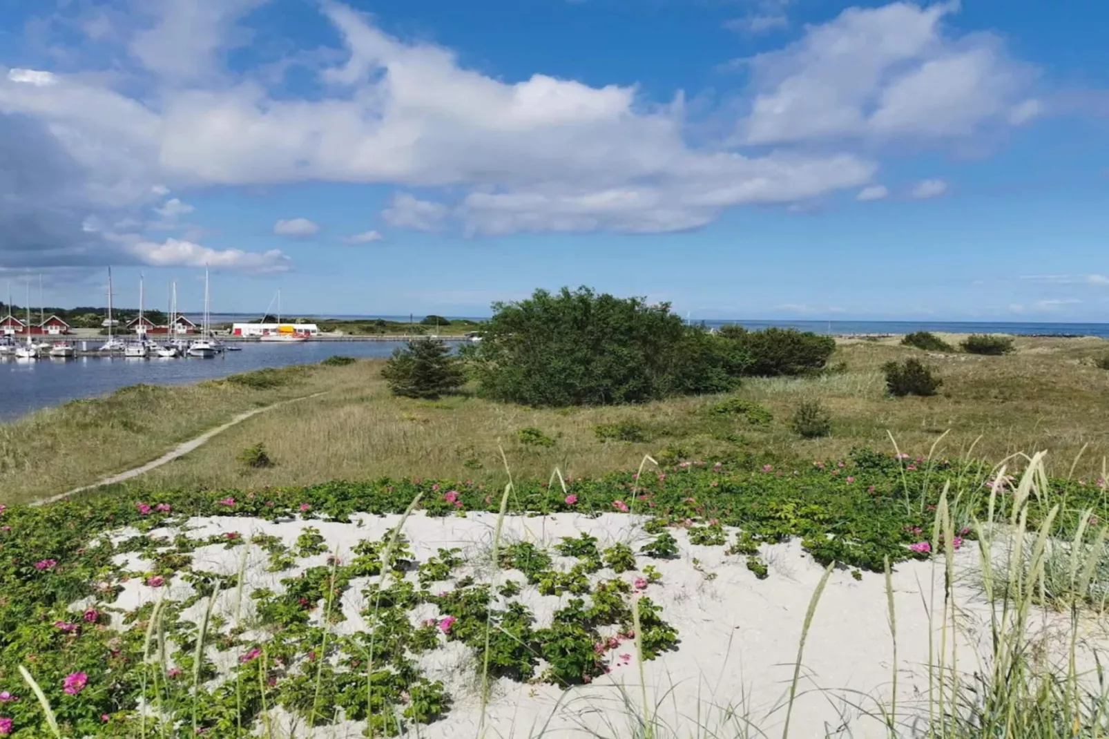Maison de vacances pour 6 a Hals-By Traum-Vue sur l'eau