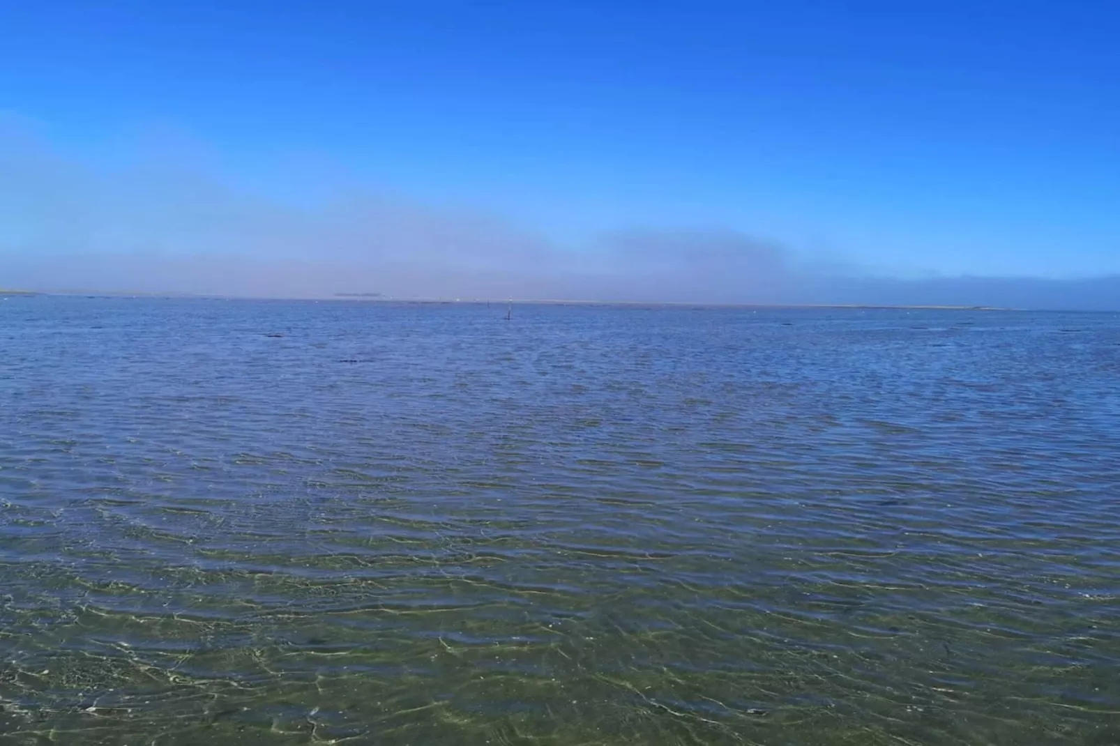 Maison de vacances pour 4 a Bogense-By Traum-Vue sur l'eau