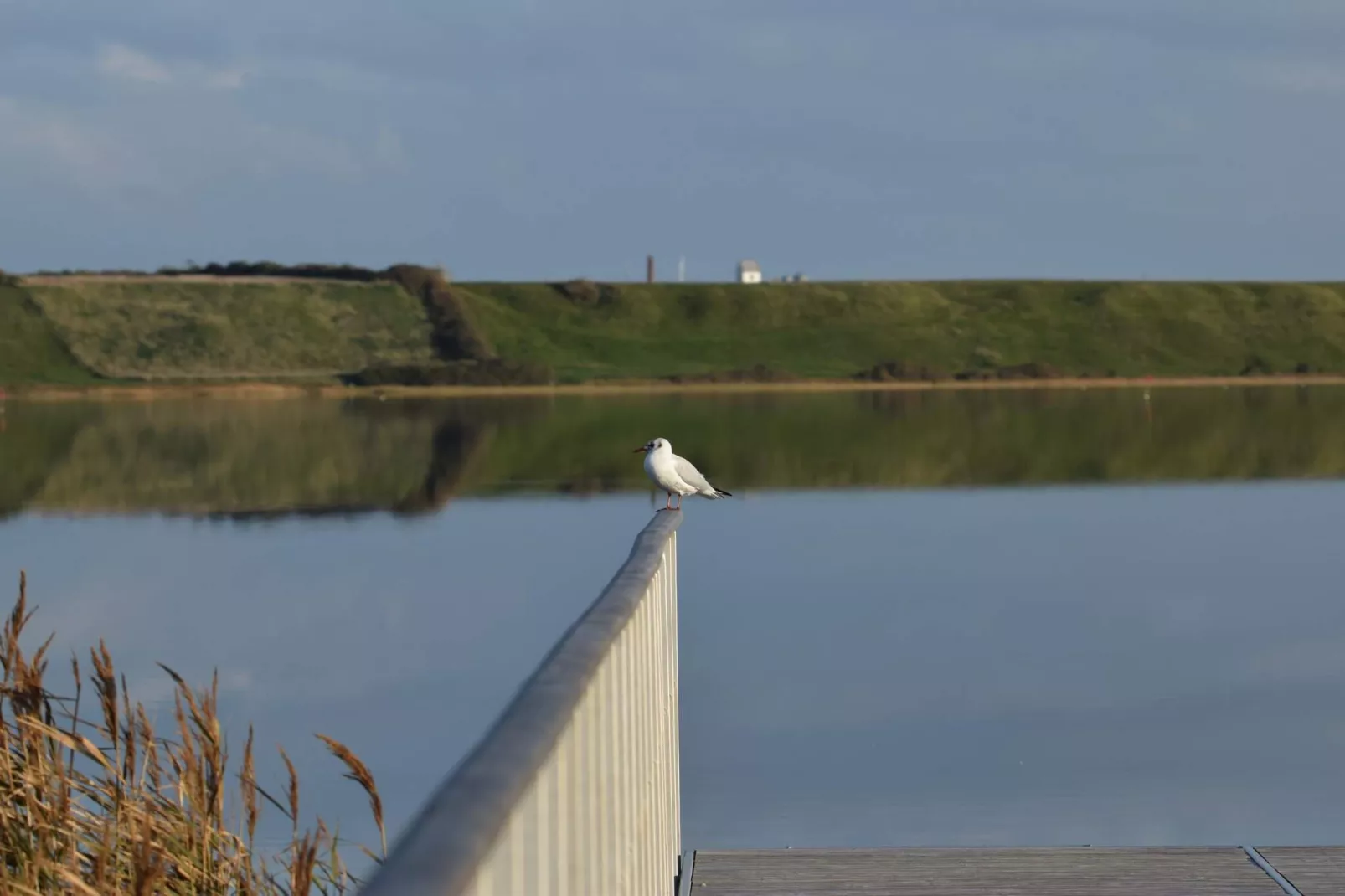 Seaside Retreat with Sauna - By Traum Ferienwohnungen - Water view