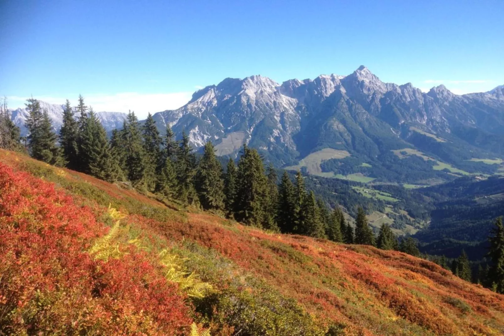 Alpine Lodge 1-Areas within 20km in summer