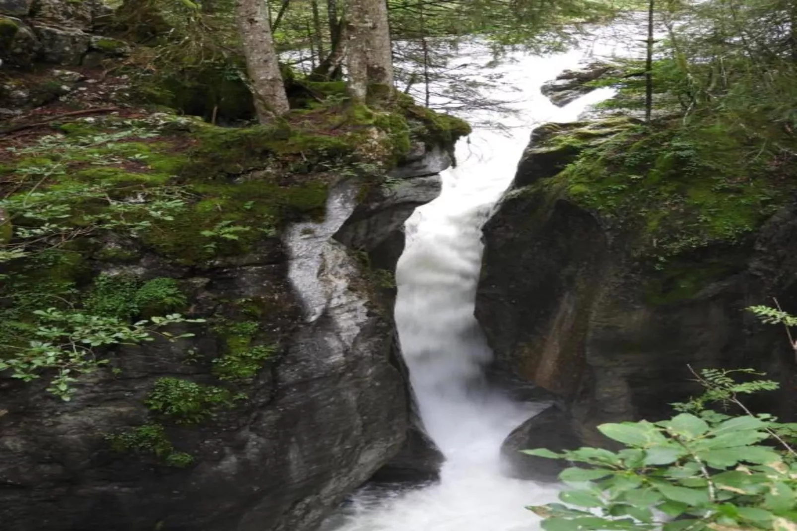 Chalet Steffko-Areas within 20km in summer