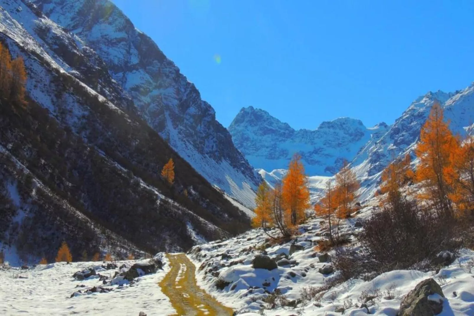 Bials-Area within 20km in winter