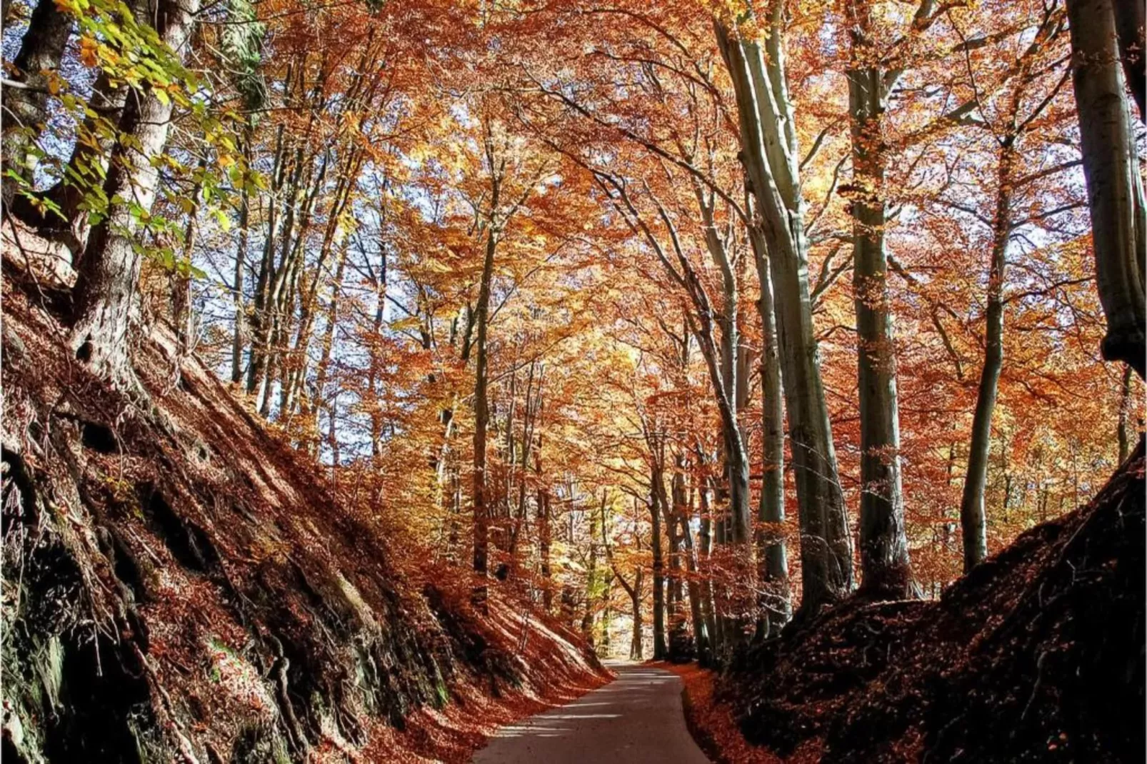 Le Chalet Chaleureux A-Areas within 20km in summer