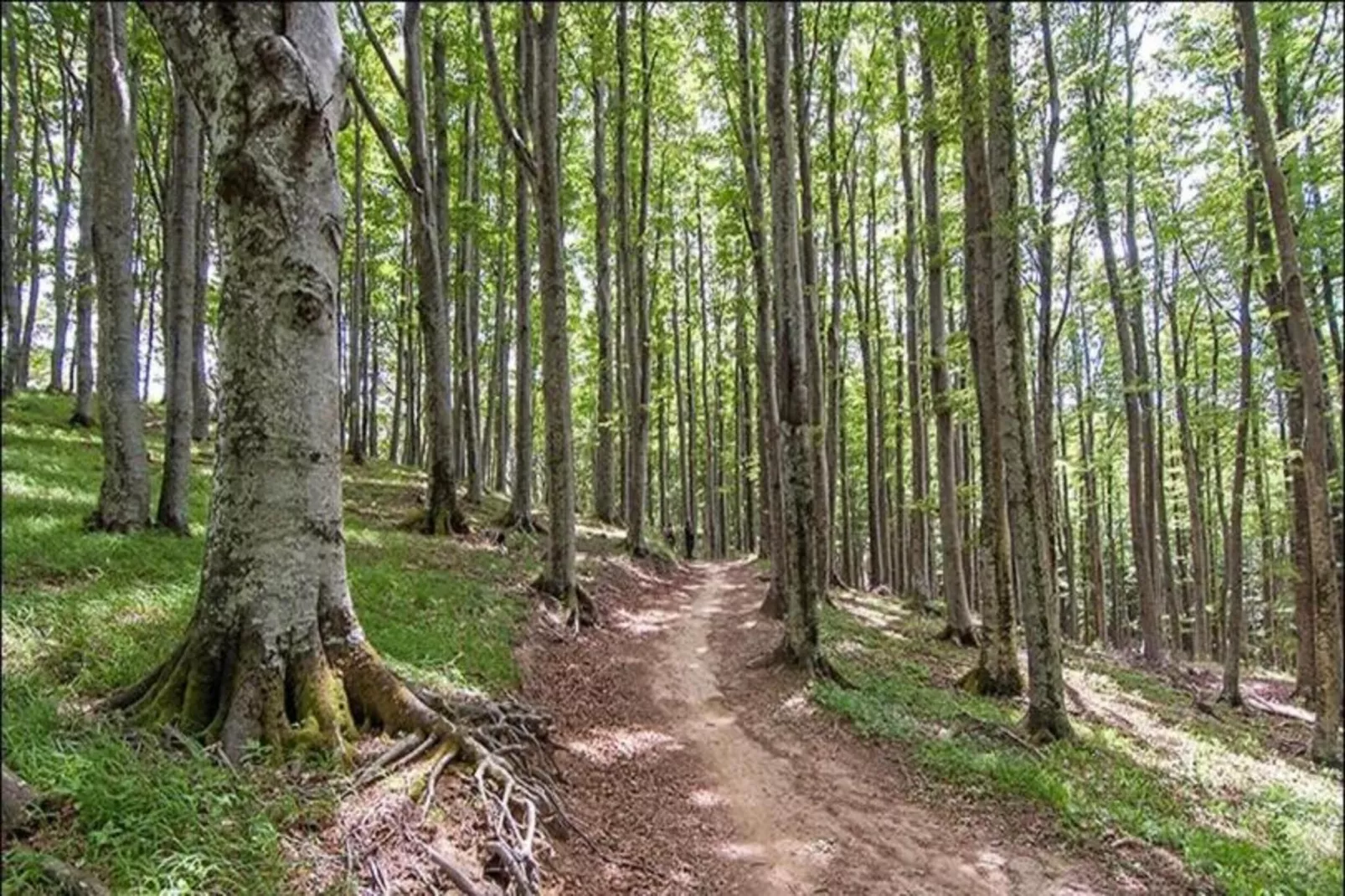 Lodge des Fagnes-Areas within 20km in summer