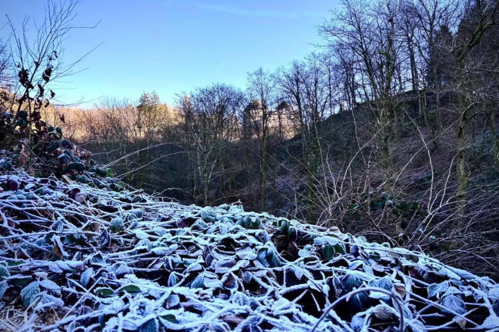 Amel 1-Area within 20km in winter