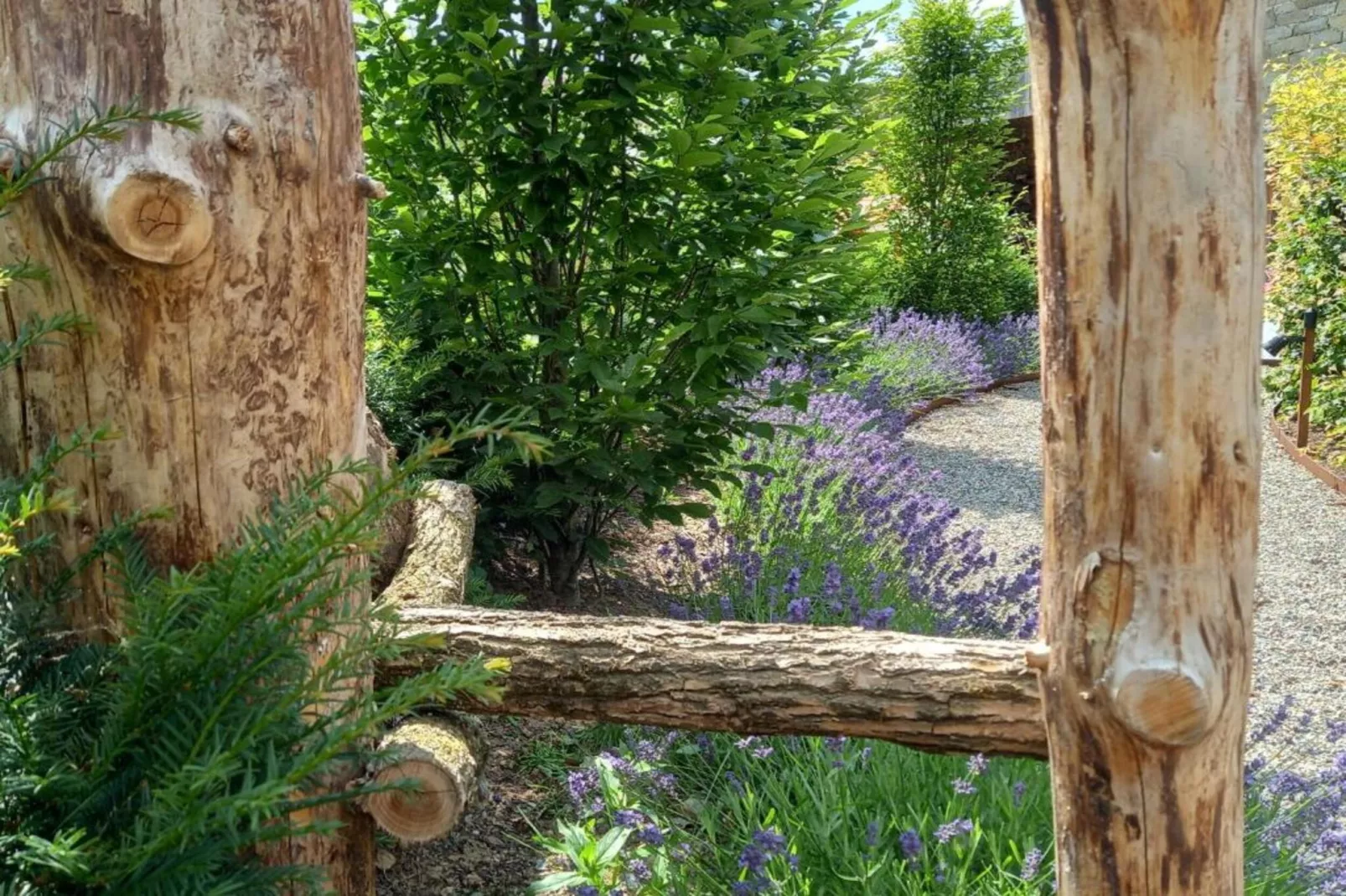 Zevenster-Areas within 20km in summer