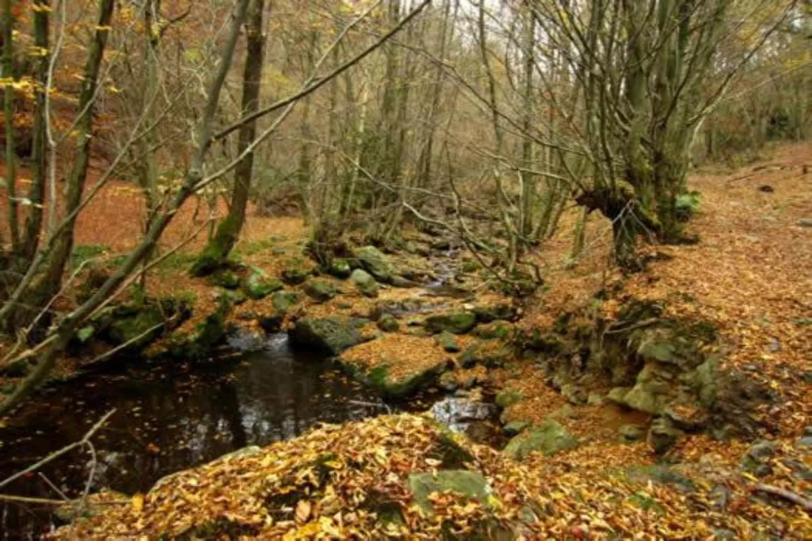 La Cantonière-Zones été à 20 km