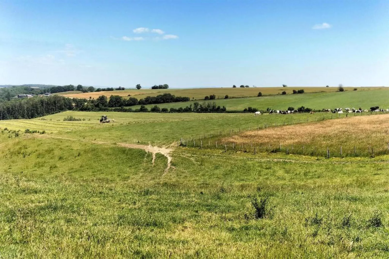 La Ribambelle-Areas within 20km in summer