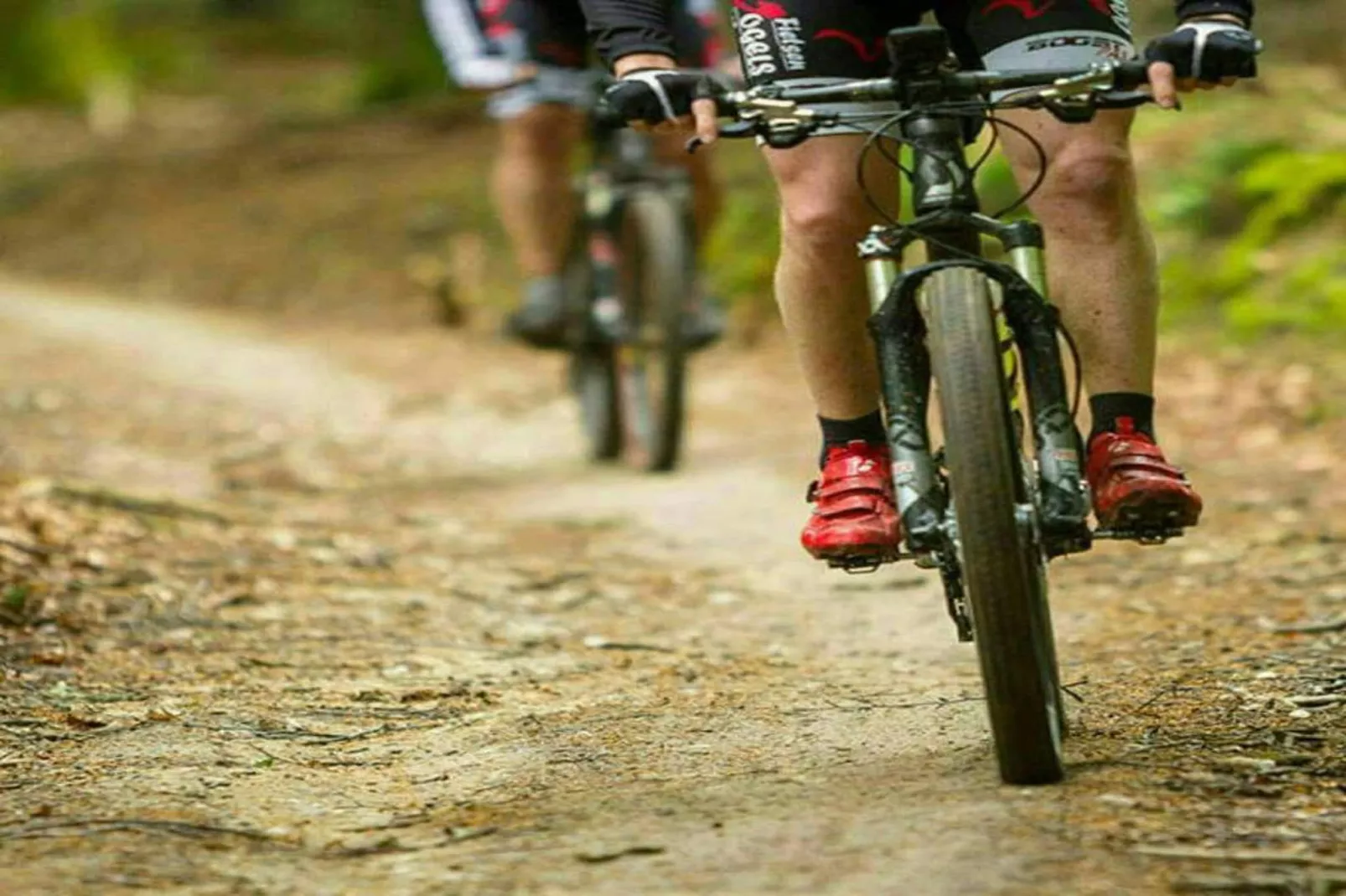 Le Cerf Volant-Areas within 20km in summer