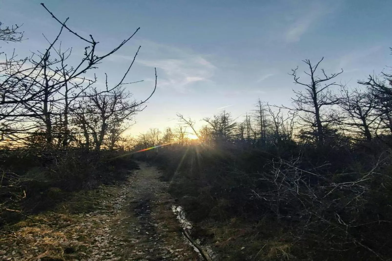Le Bonheur-Zones été à 20 km