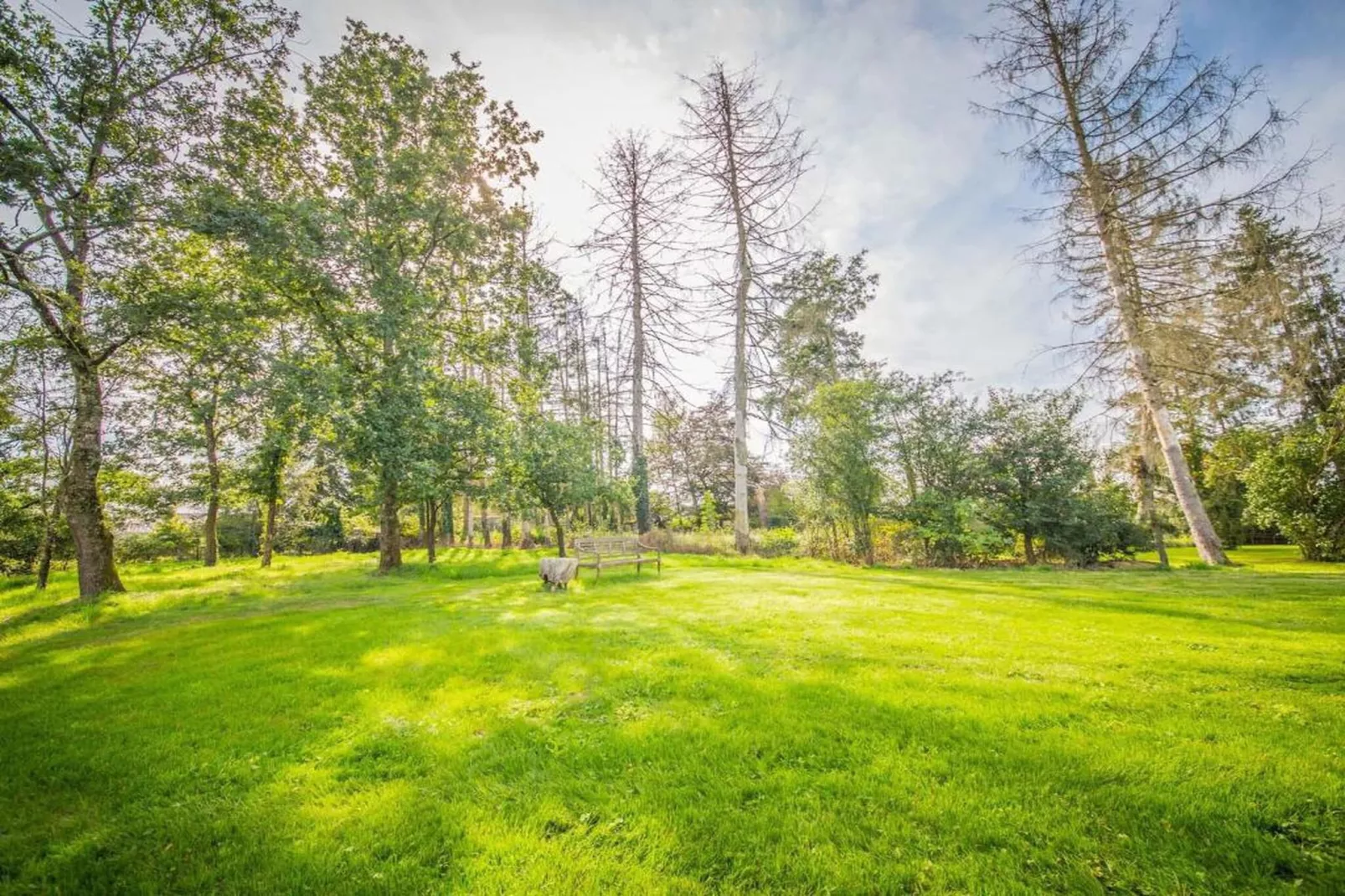 Chalet d'aventures-Areas within 20km in summer