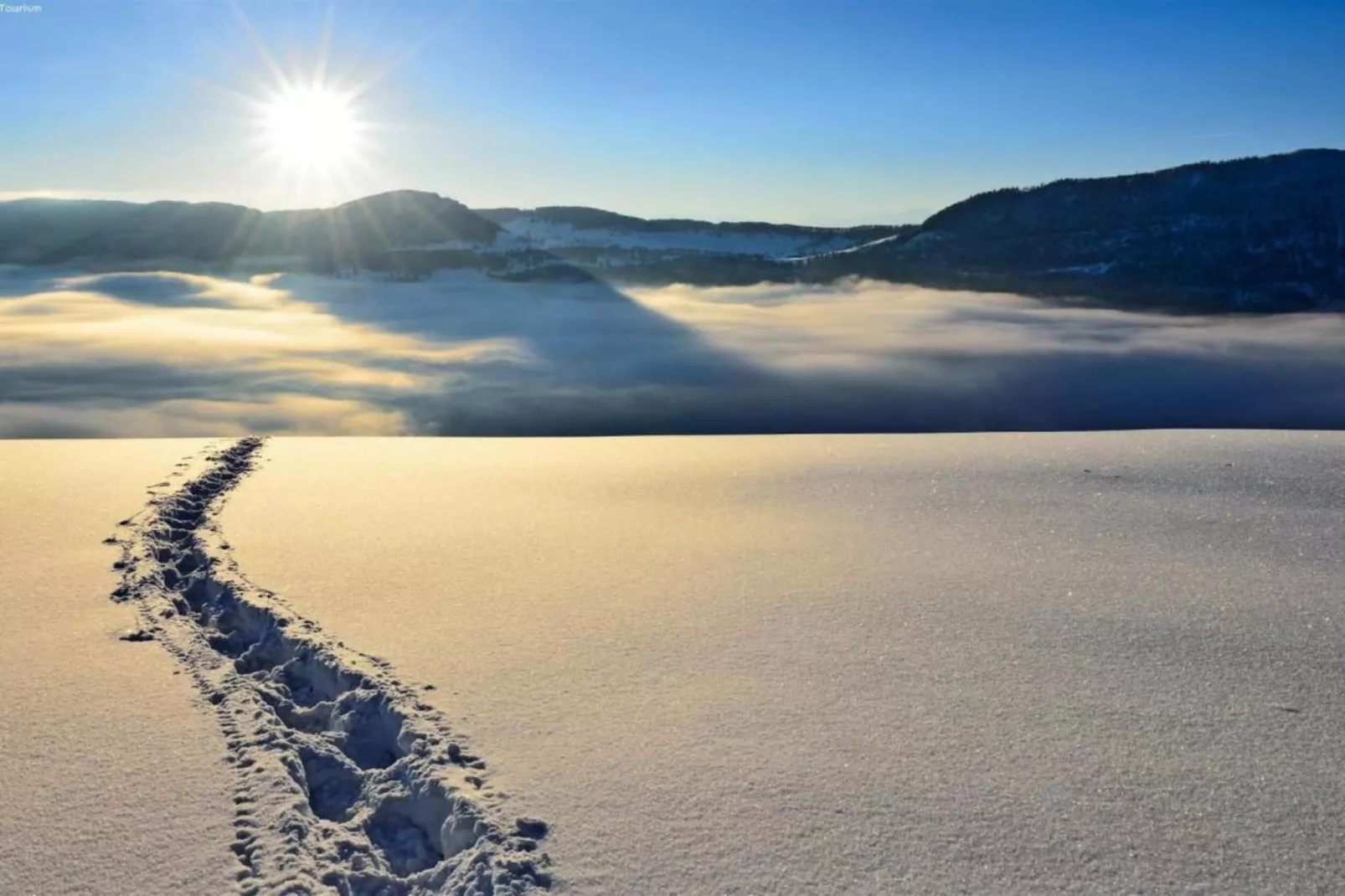 Sparrhorn-Area within 5km in winter