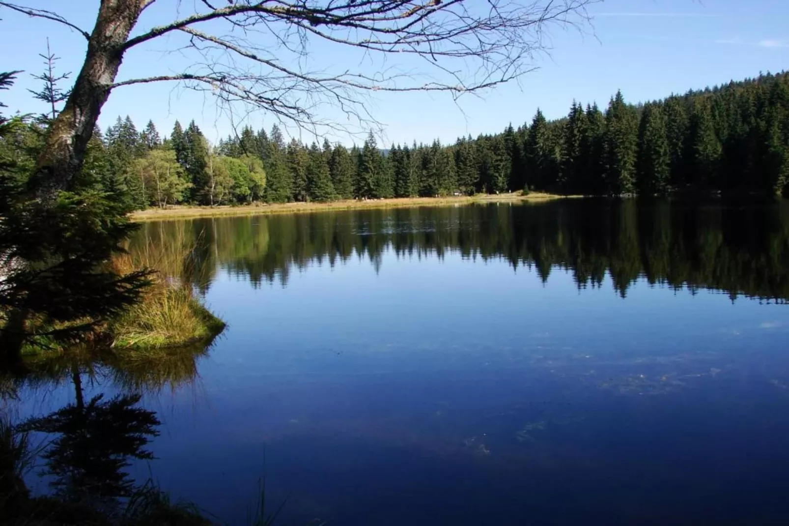Matej-Areas within 20km in summer