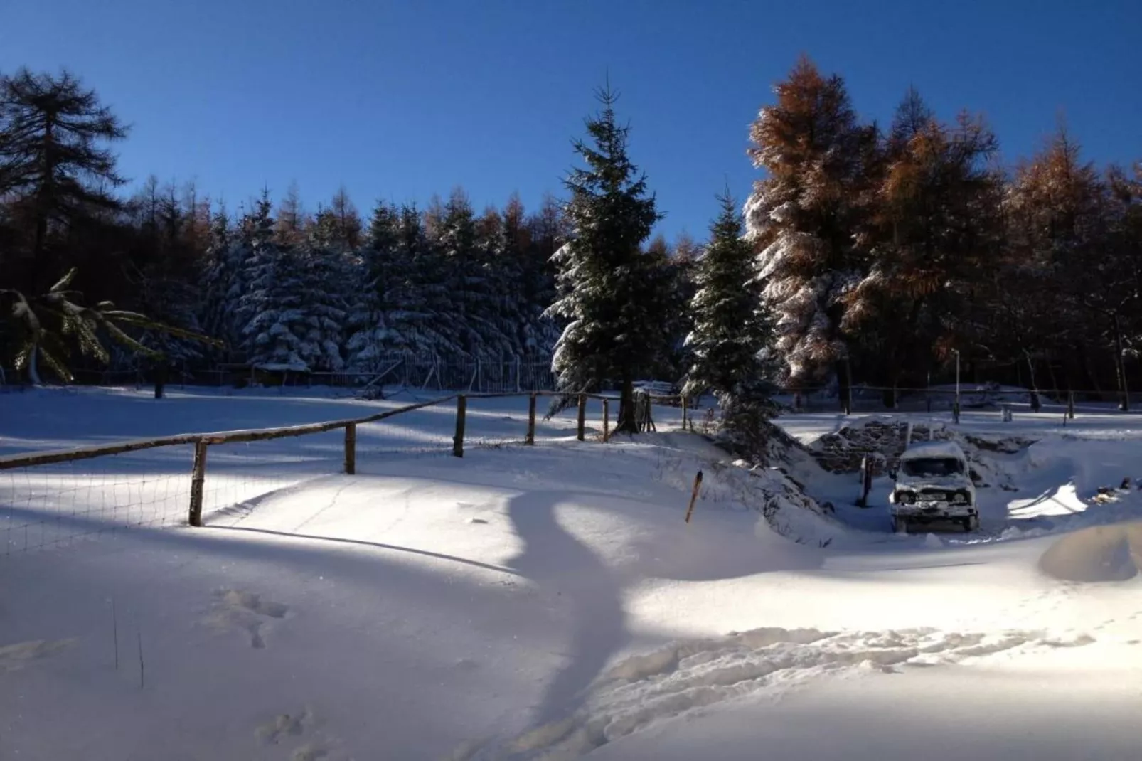 Stela-Area within 5km in winter