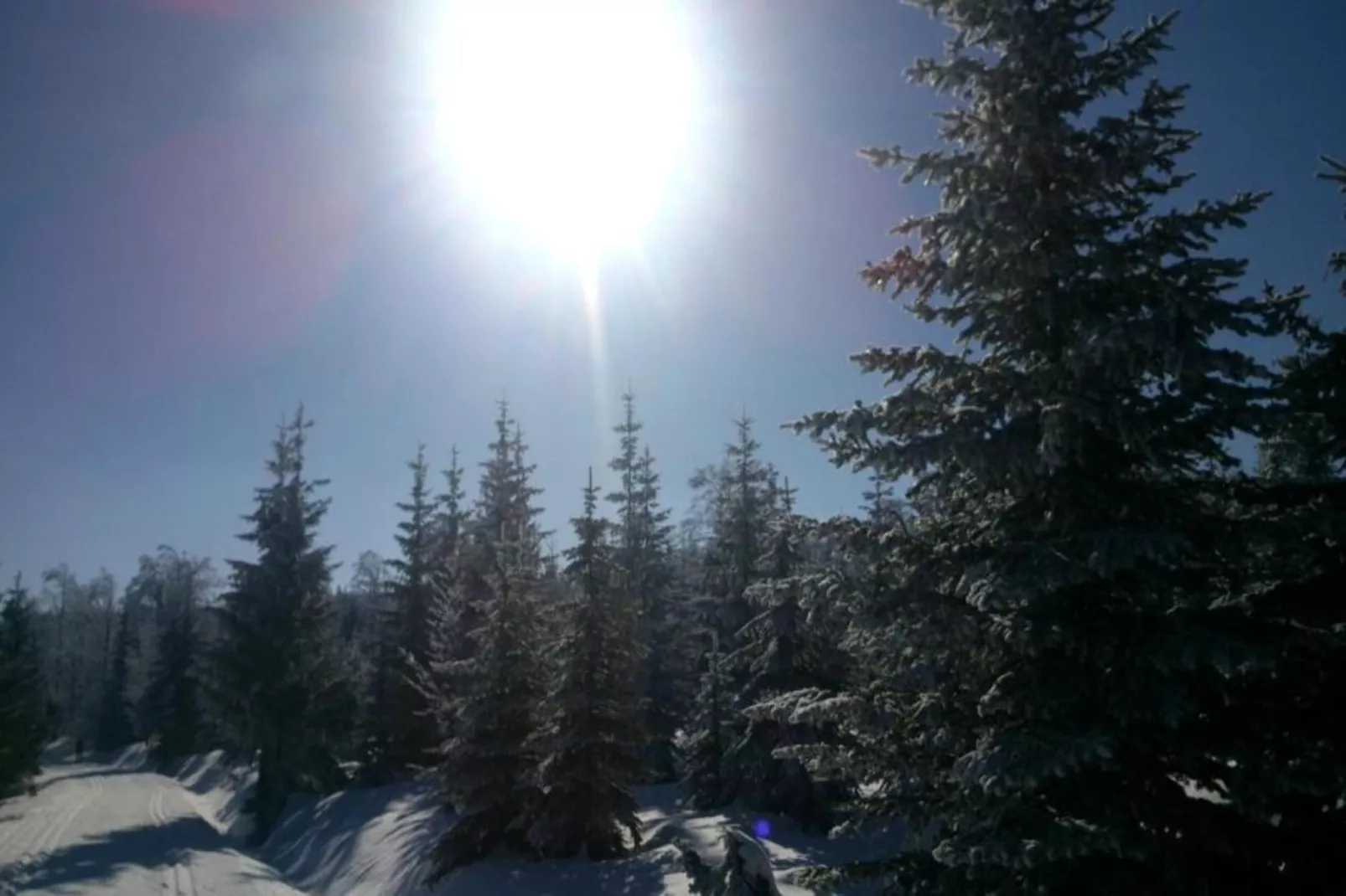 Monika-Area within 5km in winter