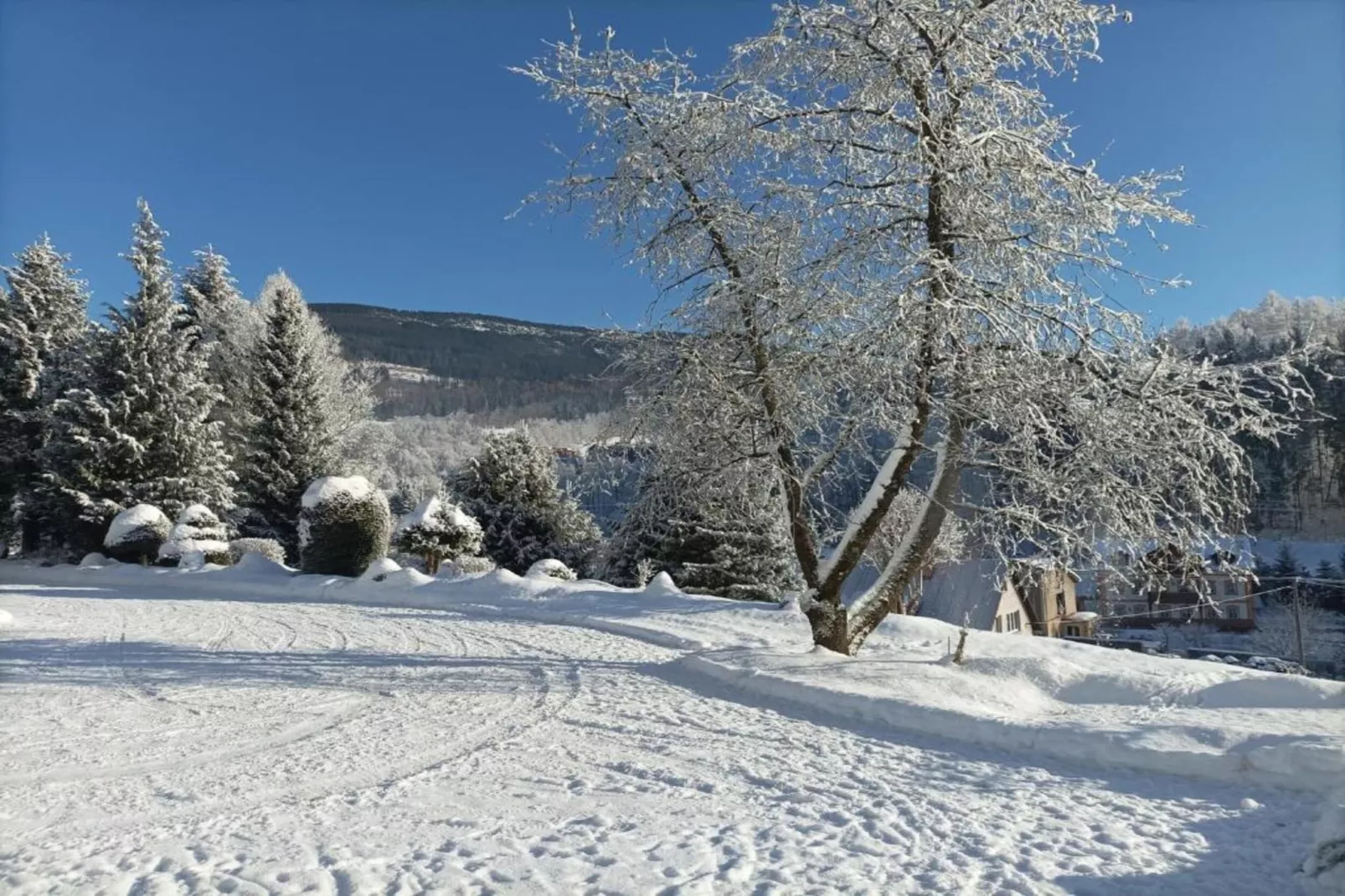 Rokytno-Area within 20km in winter