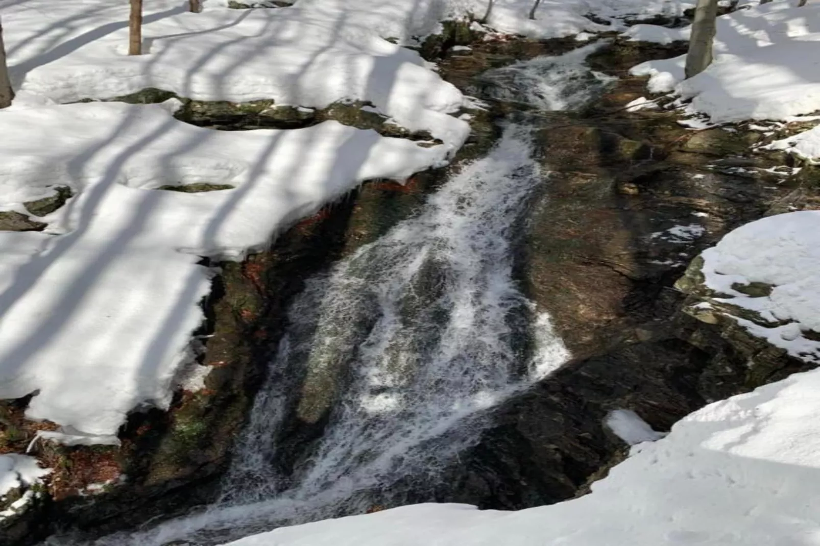 Petr-Area within 20km in winter