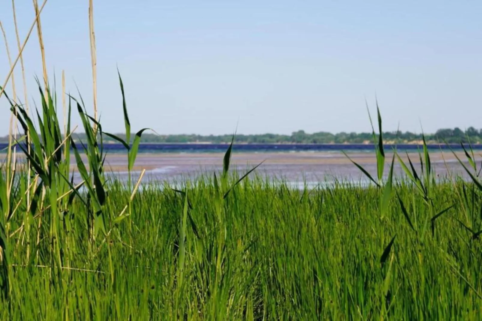 An der Bamburg-Areas within 5km in summer