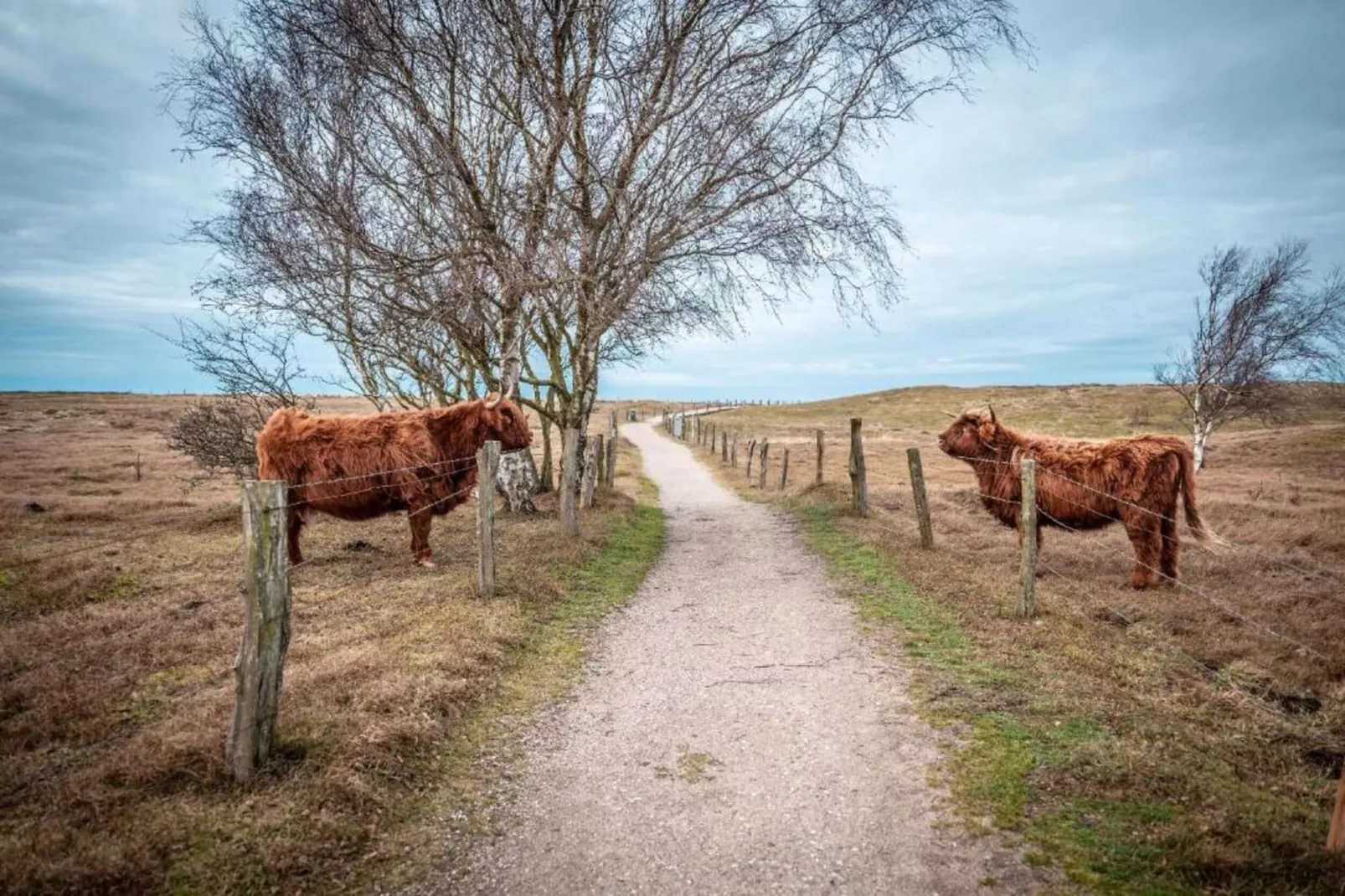 Familienurlaub in der Natur-Zones été à 20 km