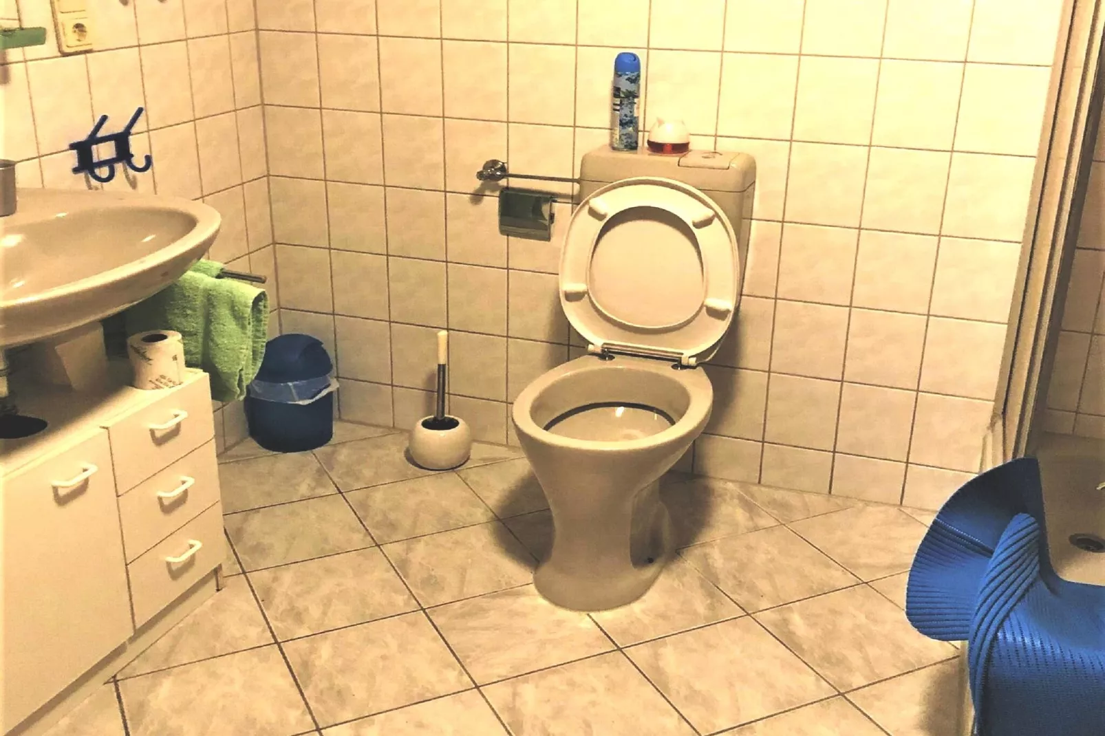 Haus Epting-Salle de bain