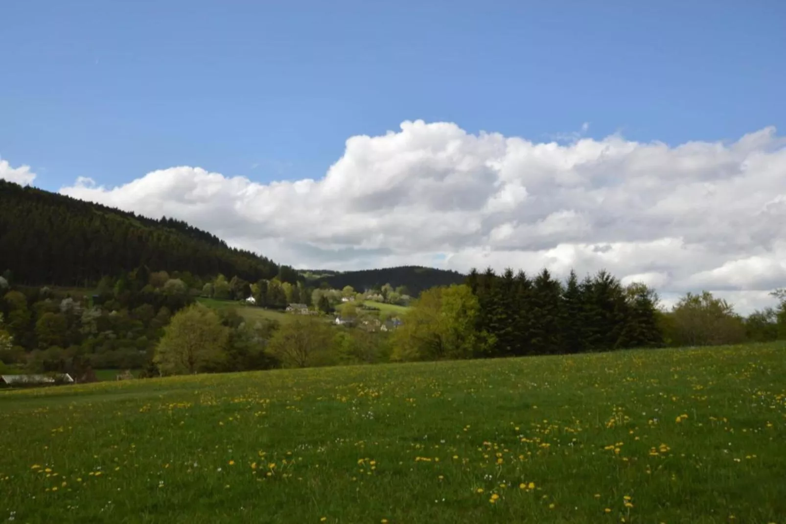 Sonneberg-Areas within 20km in summer