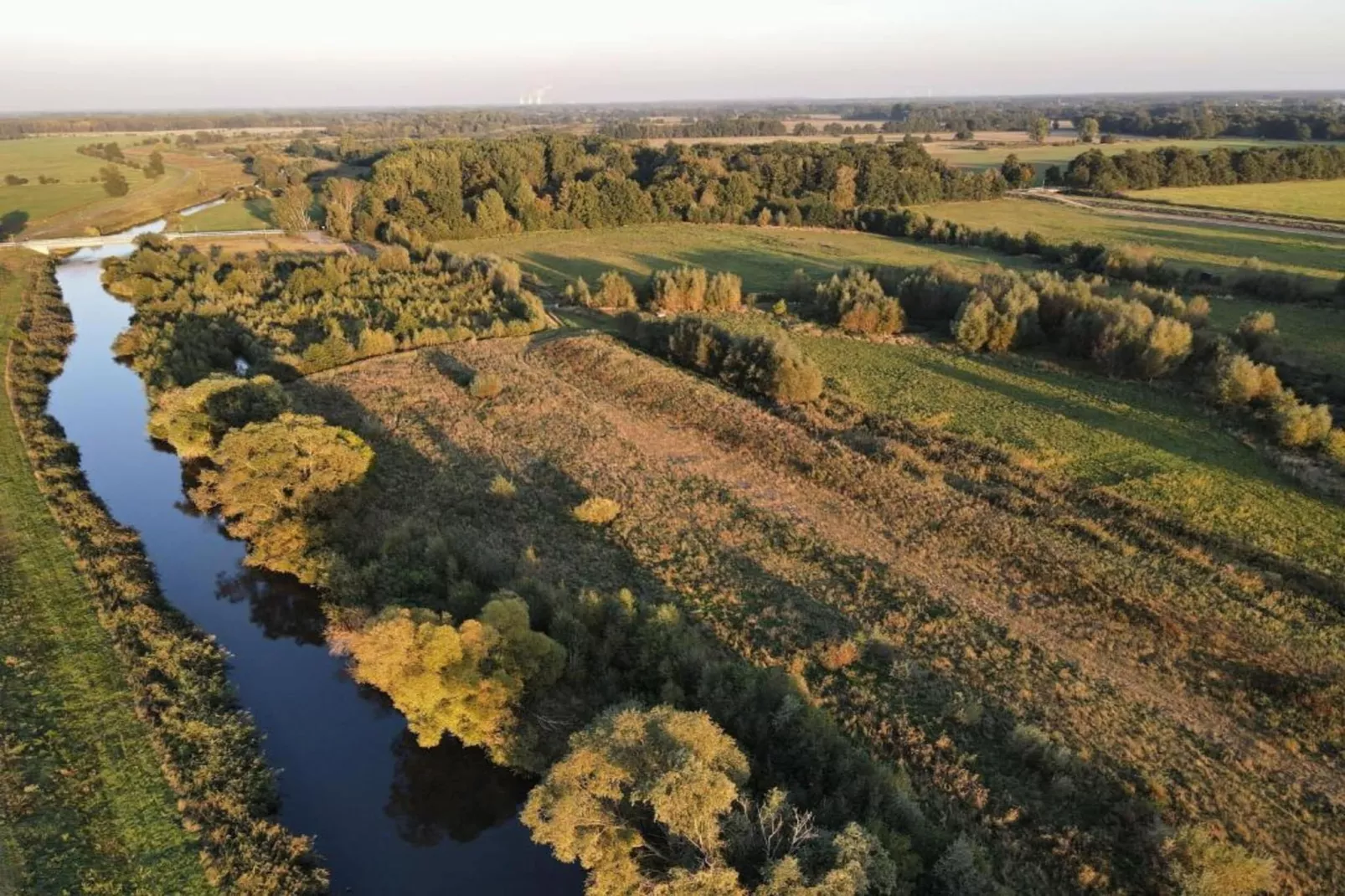Waldblick-Areas within 5km in summer