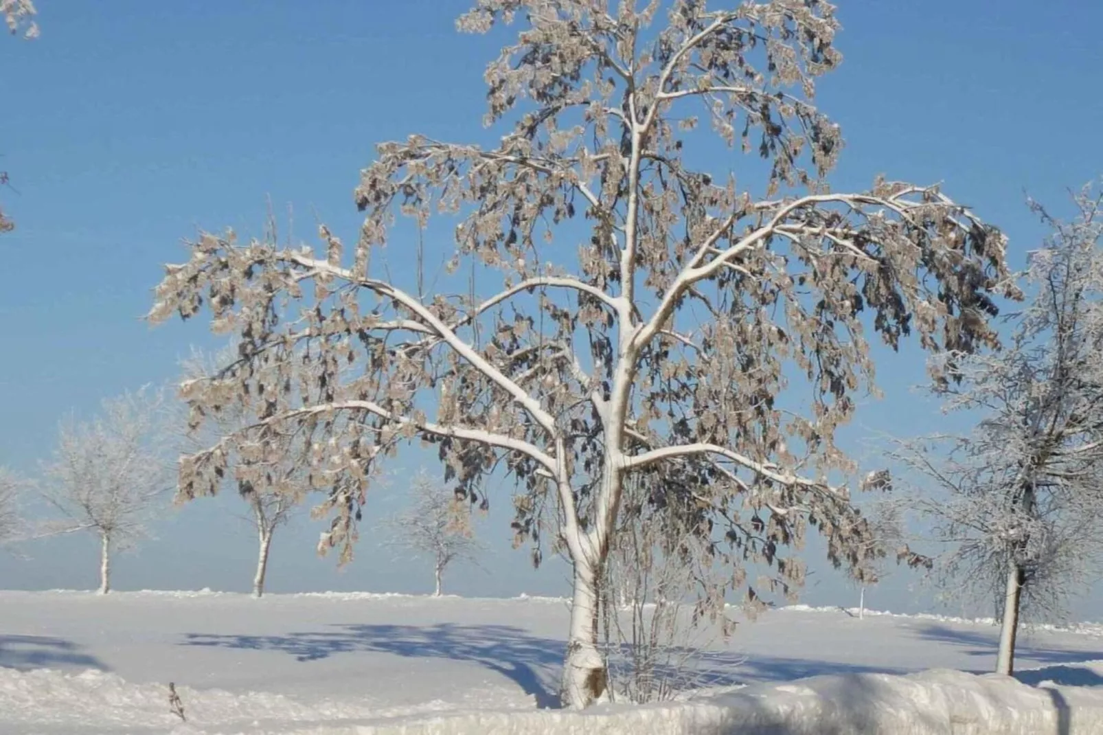 Obermühle-Area within 5km in winter