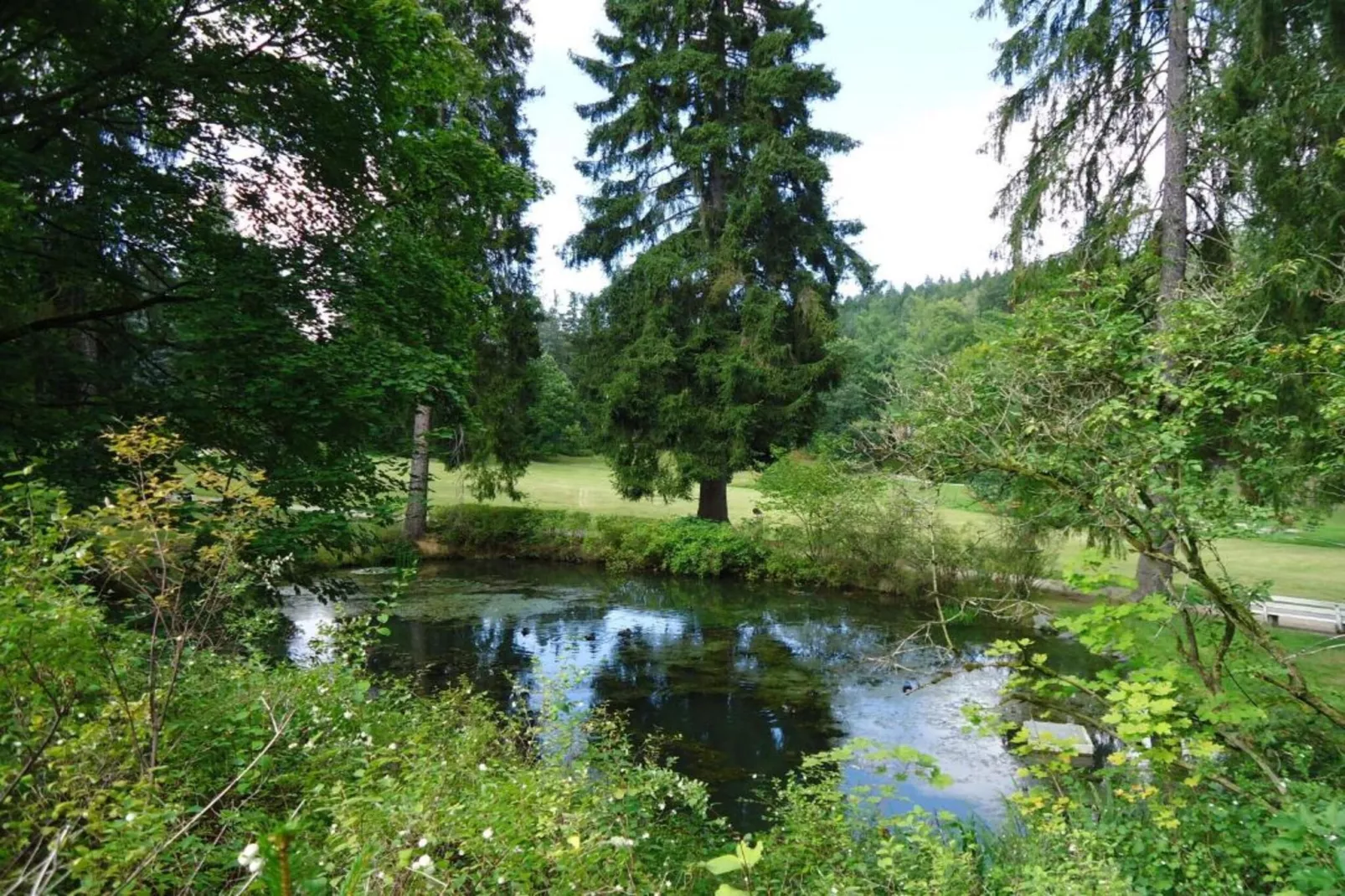 Bad Elster-Gebiete Sommer 20 km