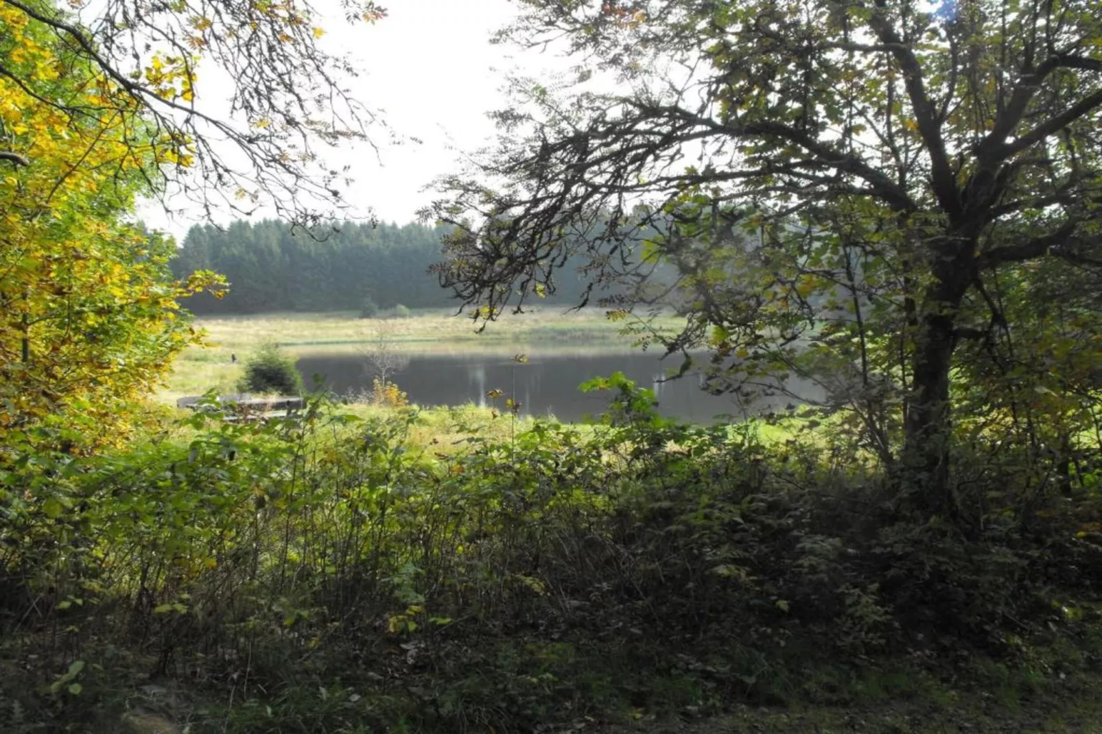Spiegeltal-Zones été à 5 km