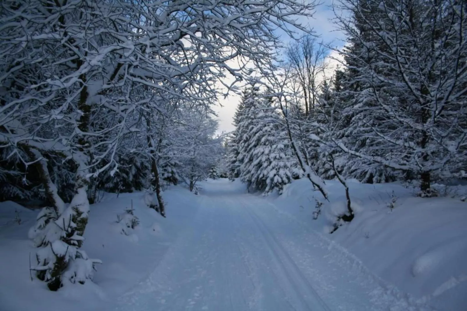 Ferienhaus Loretta-Gebiet Winter 20 km