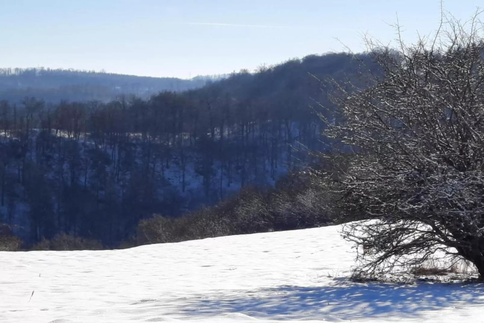 Stalter-Area within 20km in winter