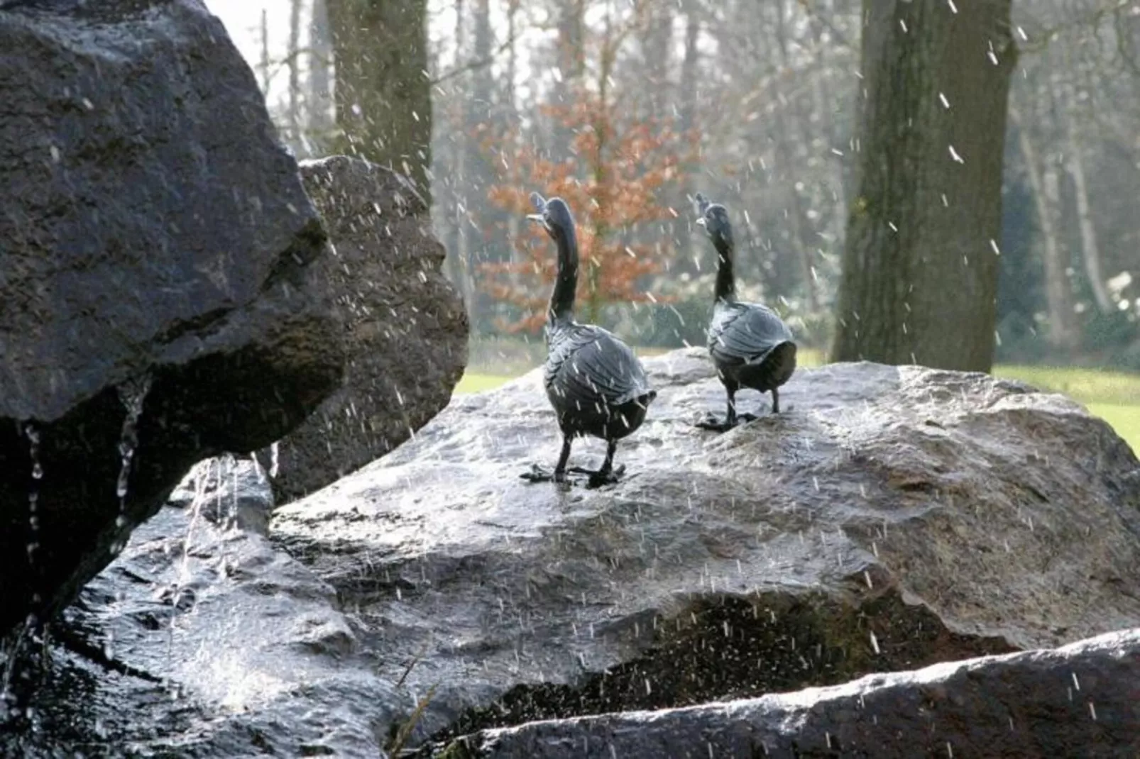 Ferienresort Bad Bentheim 3-Gebiete Sommer 20 km