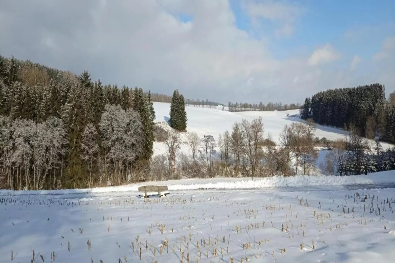 Ferienhaus Bremer-Area within 20km in winter