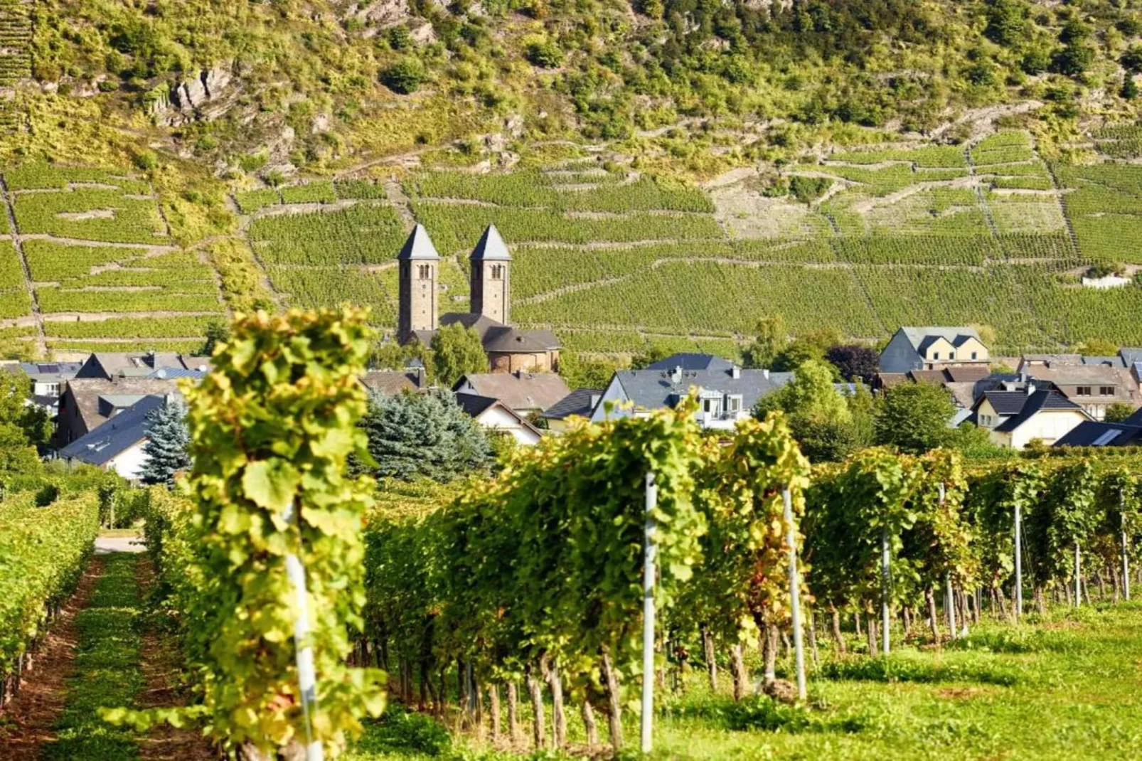 Weingut Hausmann-Gebiete Sommer 20 km