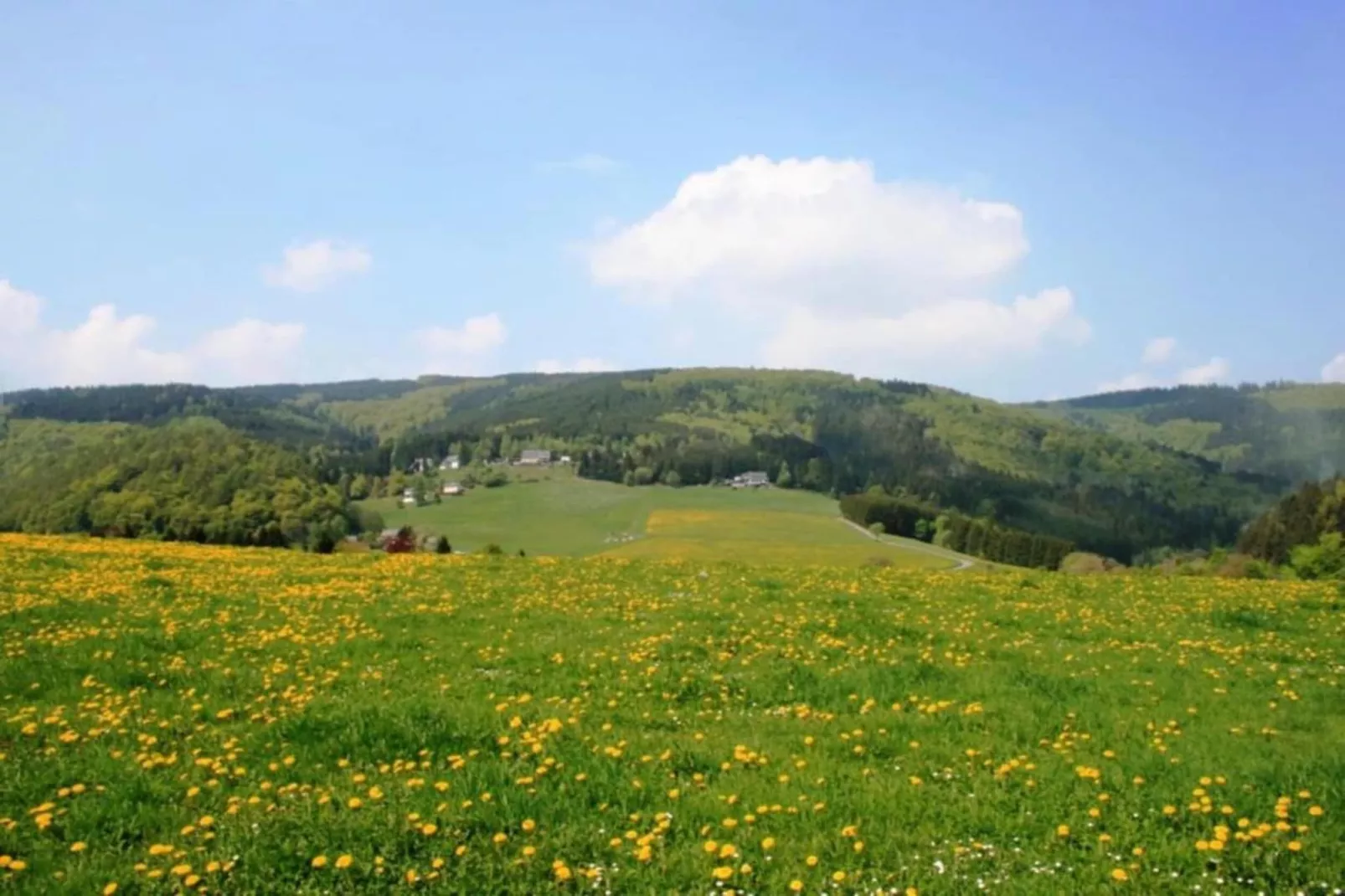 Sauerland-Gebiete Sommer 5 km